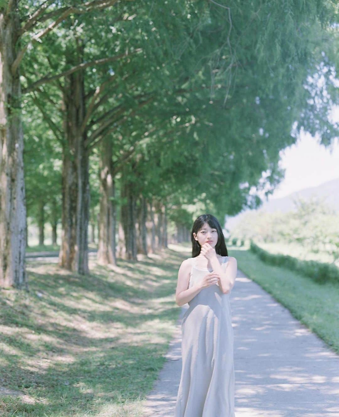 Masaのインスタグラム：「.  ▶︎▶︎▶︎ Swipe  1：Pentax6x7  Super Takumar 105mm F2.4 #pro160ns  2,3：Nikon F3  Nikkor 50mm F1.4 #fuji100  🌲🌲  撮影日 : 2023年7月23日  #まさペン#エビプリ #pentax6x7 #pentax67 #バケペン #中判フィルム #film #filmcamera #filmphotography #フィルム #フィルムカメラ#フィルム写真 #igersjp #portrait #ポートレート #filmisnotdead #滋賀 #shiga #メタセコイア  #メタセコイア並木  #Metasequoia」