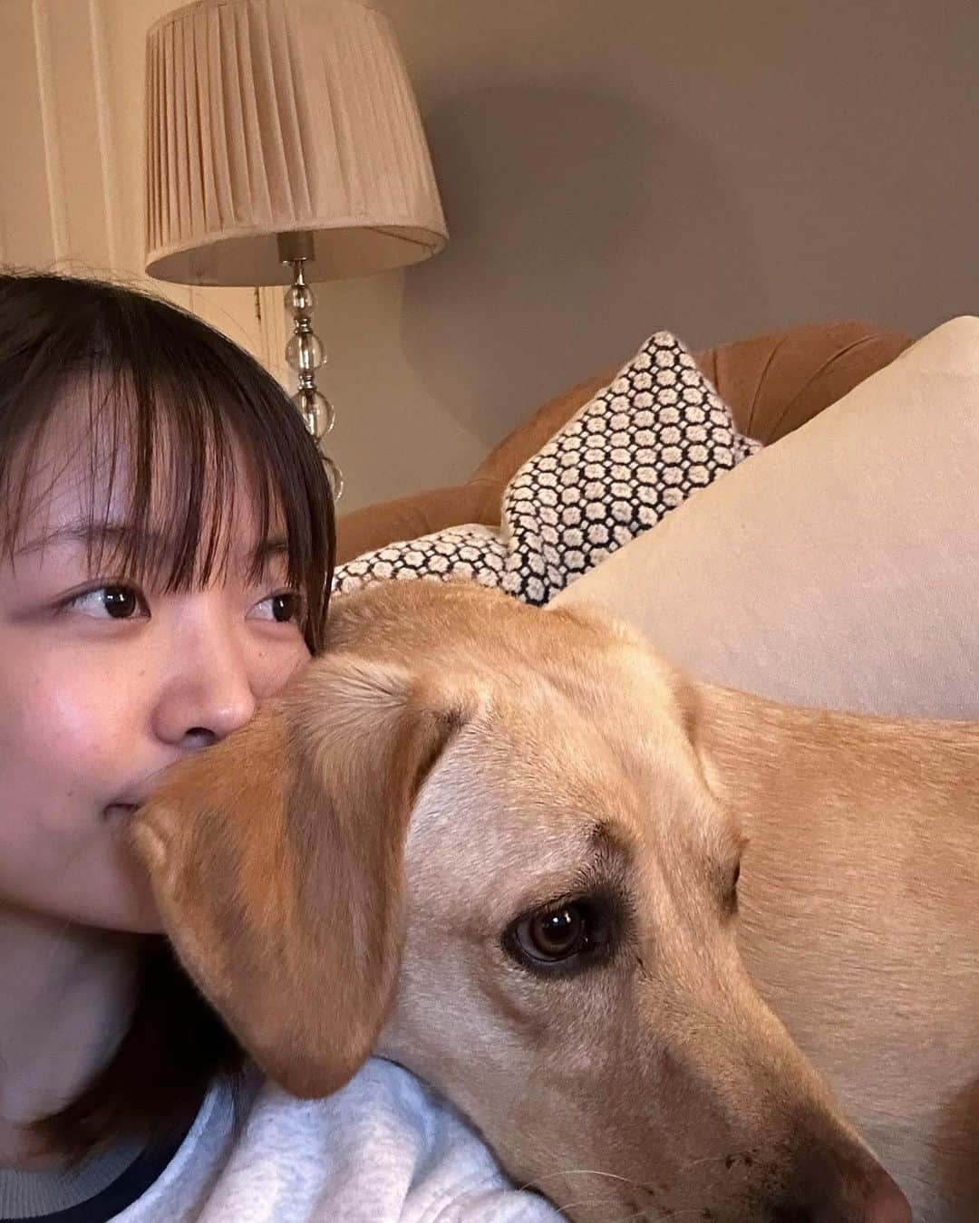 寺川里奈さんのインスタグラム写真 - (寺川里奈Instagram)「I’ll always love you🐕🤍  #dogsofinstagram」8月7日 7時34分 - rina_terakawa