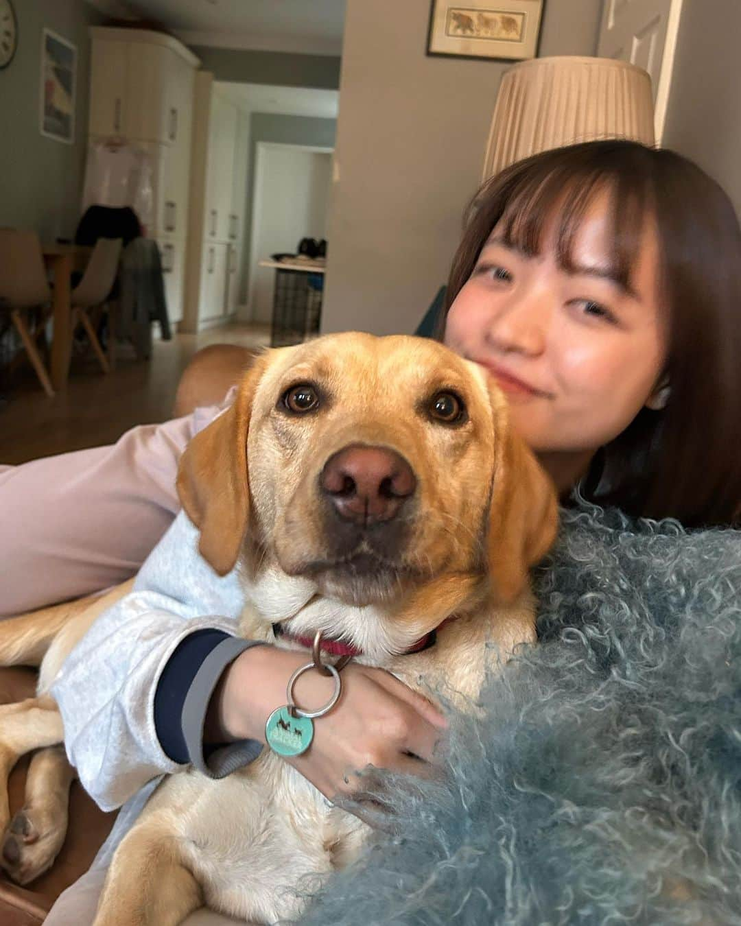 寺川里奈さんのインスタグラム写真 - (寺川里奈Instagram)「I’ll always love you🐕🤍  #dogsofinstagram」8月7日 7時34分 - rina_terakawa