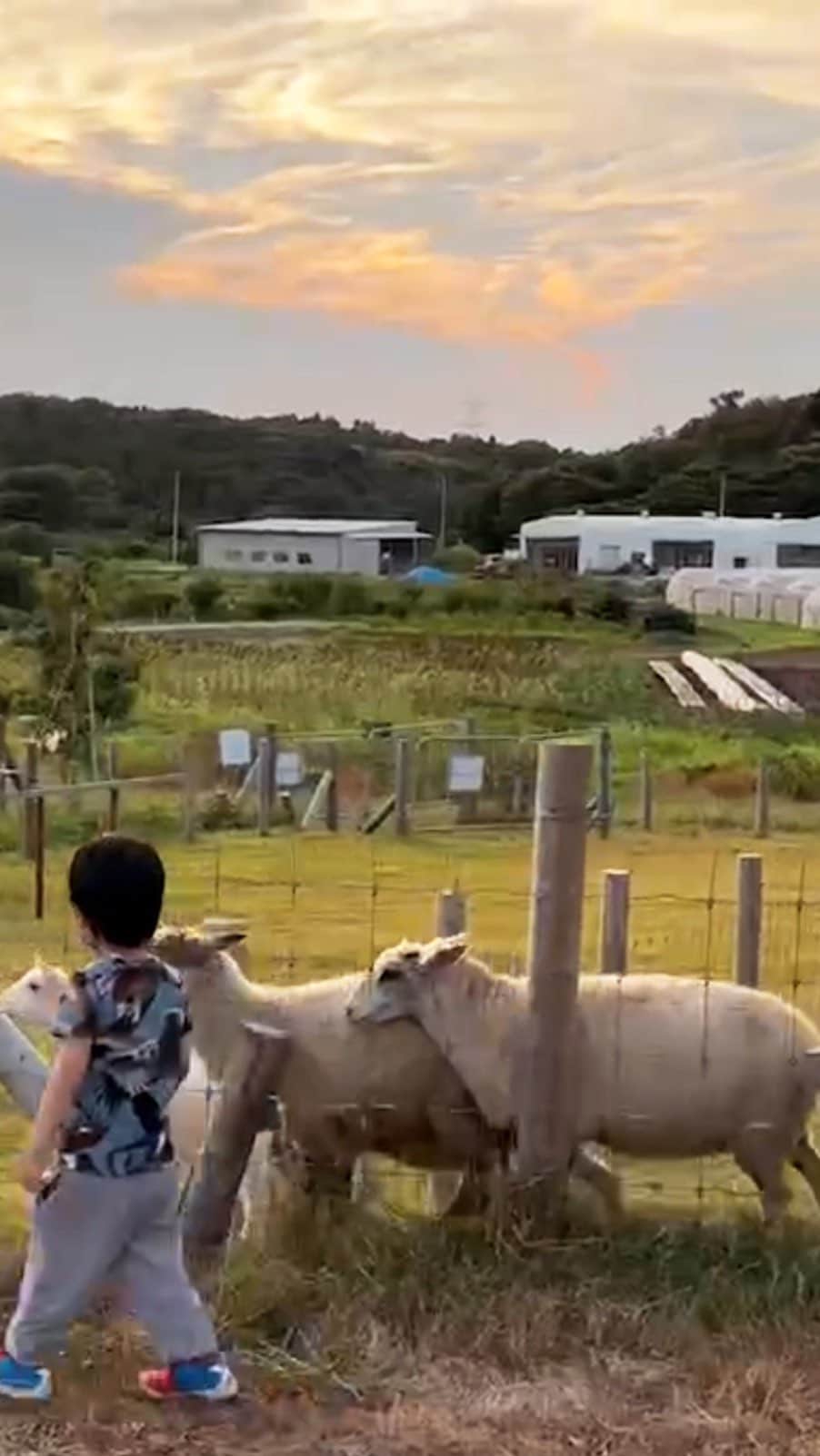 清川あさみのインスタグラム