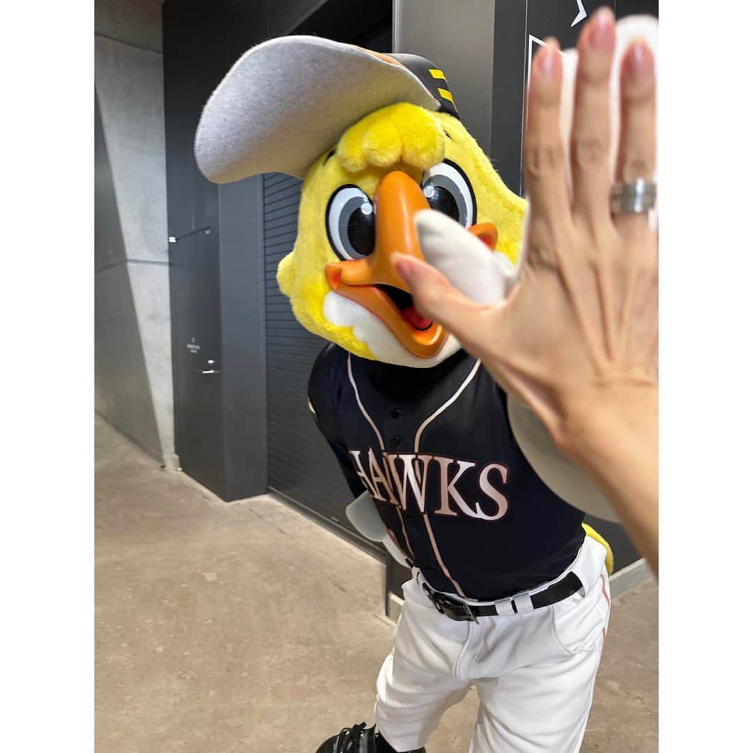 武藤京子のインスタグラム：「* * ハリーホークとハイタッチ🤚 @softbankhawks_official  * 応援席で 一緒に応援📣📣📣 * #softbankhawks #ソフトバンクホークス #ハリーホーク　 #esconfield #エスコンフィールド #野球観戦 #⚾️」