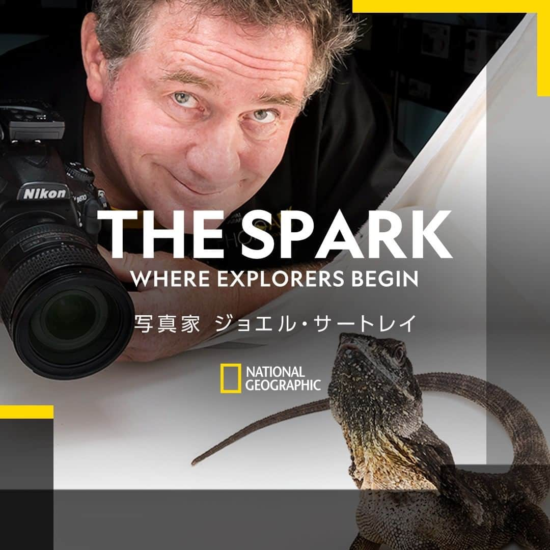 ナショナル ジオグラフィック TV (JP)のインスタグラム：「オンライントークイベント『THE SPARK』開催！  ゲストは写真の力で絶滅から動物を守るプロジェクト「PHOTO ARK」創設者のジョエル・サートレイ。質問も事前募集中🔍  ⏰2023年8月8日(火)夜7時〜 📍ナショジオ公式YouTube (Link in bio)  ▼トークイベント概要 ジョエル・サートレイは「PHOTO ARK」の撮影のため、2023年8月上旬に来日。約2週間の滞在中、国内数ヶ所の動物園・水族館で撮影を予定。「PHOTO ARK」を通して日本の美しい動物たちの魅力を伝えるだけでなく、日本の動物園が絶滅危惧種の動物たちをどのように保護しているのかも世界に伝えます。今回の来日に合わせて、日本の皆さんにも「PHOTO ARK」で写し出された美しい動物たちと絶滅危惧種の現状を広く知っていただくべく、オンライントークイベントを開催します。  ▼ジョエル・サートレイ (プロフィール) ジョエル・サートレイは、写真家、講演者、作家、自然保護活動家、そして2018年の「ナショナル ジオグラフィック エクスプローラー・オブ・ザ・イヤー」に選出されている。ナショナル ジオグラフィック誌の常連寄稿者であり、イーグルスカウトとしても知られる。世界中の絶滅危惧種や風景の記録を専門とし、種と生息地を救うための25年にわたるドキュメンタリープロジェクト「PHOTO ARK」の創設者。  #ナショジオ #PhotoArk #JoelSartore」