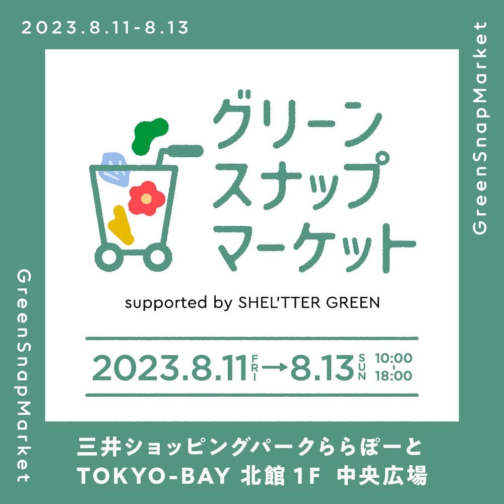 のインスタグラム：「GreenSnap 初めての大型商業施設内での植物イベント開催！  『GreenSnap Market  supported by SHEL'TTER GREEN』はGreenSnap 初めての大型商業施設内での植物イベント開催です。 GrennSnapオフィシャルアンバサダー三上真史さんのトークショー出演や（※8/11）、植物ブランド 8店舗が出店しショッピングやワークショップが楽しめます。  リニューアルした【土を使わない観葉植物】テーブルプランツ(Table Plants)が初めてリアルで展開されます。  お近くの際はぜひお立ち寄りいただけますと幸いです。  皆様のご来店をお待ちしております。  ■『GreenSnap Market』開催概要 開催日程：2023年8月11日(金・祝) ～13(日) 開催時間：10:00～18:00 開催場所：三井ショッピングパーク　ららぽーとTOKYO-BAY 北館1Ｆ 中央広場（千葉県船橋市浜町 2-1-1）  ■ 三上真史さん　トークショー＆書籍販売イベント 開催日程：2023年8月11日(金・祝) 開催時間：11:00～  14:00～ 参加費　：無料  ■ワークショップ開催内容  ・自分の小さな世界を作ろう！苔テラリウム作り 開催日程：8/12(土)・13(日) 開催時間：随時受付 参加費　：¥2,800  ・ガジュマルで「PAPER CoCo（ペーパーココ）」を作ろう 開催日程：8/12(土)・13(日) 開催時間： ①11:00 ②13:00 ③14:30 ④16:30 参加費　：¥3,500  ・親子でできるフラワーヘアゴム作り 開催日程：8/12(土)・13(日) 開催時間：随時受付 参加費　：¥1,650  ＜出店者一覧＞ ・GreenSnapSTORE GreenSnap STOREで人気のガーデンツールの販売。  ・Table Plants 「だれでも、どこでも、かんたんに。」スポンジで育てる、土を使わない植物Table Plants（テーブルプランツ）の販売。  ・苔むすび 苔むすびは鎌倉を拠点とした苔のブランドです。苔を通しさまざまなかたちで苔と人とをむすびます。  ・ハナナ ドライフラワー・アーティフィシャルフラワー・生花などの雑貨、ギフトを販売。  ・SHELʼTTER GREEN 国内外から直接仕入れた種類豊富な観葉植物や鉢などのガーデニング雑貨を 販売。  ・TUTTI ポリエステル繊維をリサイクルしてできた培地の販売。  ・PAPERCoCo カラフルな和紙糸で出来たインテリアグリーン。ボタニカラフルな生活をお届けします。  ・やまはる園芸 静岡県浜松市で洋蘭と多肉植物を栽培、販売しています。多肉植物は普及種が主ですが、エケベリア、セダム、クラッスラなど、幅広く栽培しています。洋蘭は初心者向けからマニアックなものまで取り揃えています。  ※コンテンツ・出店者等、イベントの内容は予告なく変更になる場合があります。予めご了承ください。」