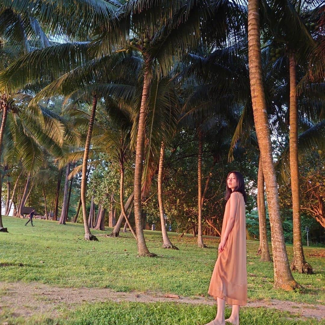 早川聖来さんのインスタグラム写真 - (早川聖来Instagram)「🏝  写真集「また、いつか」のオフショットです。 チリクラブが美味しすぎてカニを描きました🦀  #早川聖来 #早川聖来写真集 #singapore」8月7日 18時56分 - hayakawa.seira.official