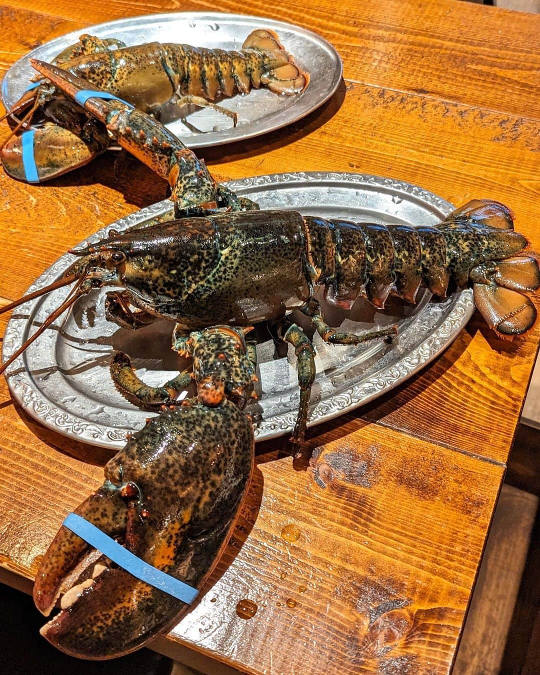 大見さなえさんのインスタグラム写真 - (大見さなえInstagram)「3ポンド ロブスター😂🦞 神泉『ロブスター&シャンパン Ebizo』 ⁡ 店内に大きな水槽にいる 活きロブスターを丸ごと楽しめるお店🦞 ⁡ ロブスターのお刺身が食べられる！！ レギュラーサイズ 身プリっと食感で、独特なくさみとかもない！ 爪は蒸し上げて自家製マヨネーズと一緒に✨ ⁡ 【3ポンド ロブスター】 約1.3キロの超巨大ロブスター🦞 テーブルいっぱいに広がるほどの大きさ😂！ 爪だけでも人の手のひらサイズくらいあるのすごい。 ⁡ 今回食べ方はスチームで💭 丸ごと高温の蒸気で一気に蒸し上げて 抜群の食べ応えと旨味が凝縮してた🥺💓 レモンと溶かしバターをつけて🧈 ⁡ ロブスターお刺身で食べられるところ ここくらいしかしらない🦞 ⁡ 他にも色んなメニュー頼んで 載せたいのいっぱいだから、今度続きのせる！ ⁡ ※3ポンドロブスターは3日前までの要予約。 ーーーーーーーーーーーーーーーーーーーーーー #ロブスターシャンパンEbizo #Ebizo #神泉グルメ #ロブスター #lobster #3ポンド #デカ盛り #めぐログ_神泉 #めぐログ_海鮮 #東京グルメ #渋谷グルメ」8月7日 18時59分 - tabe_megumi