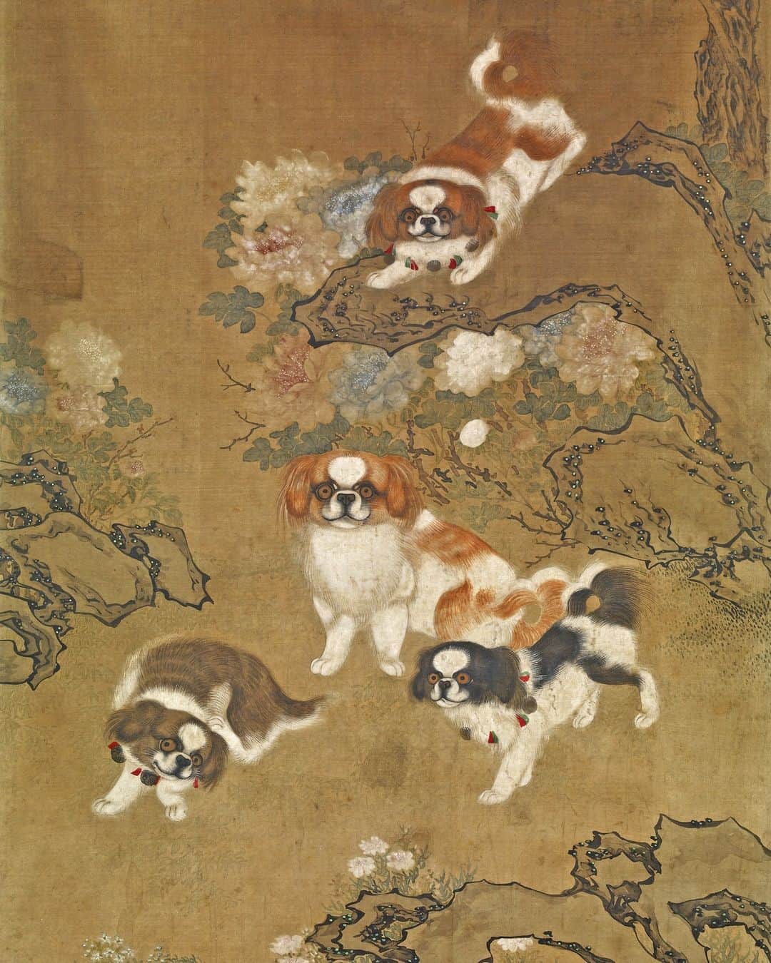 大英博物館のインスタグラム：「Pekingese dogs – the small and playful breed depicted on this hanging scroll – were the favourite breed of China’s Dowager Empress Cixi 🐶  As well as being celebrated in paintings, the tiny Pekingese were frequent companions in portraits of elite families from the Qing Dynasty.  These pampered pups enjoyed a lifestyle almost as lavish as their wealthy companions – objects from the Imperial palace included a cloisonne and jade dog cage, and a miniscule, embroidered satin jacket!  To celebrate our #ChinasHiddenCentury exhibition, this scroll is on display alongside other objects from the 1800s, including a painstakingly conserved bamboo jacket.  🖼 See these playful pups in Room 33 of the Museum – the Sir Joseph Hotung Gallery of China and South Asia.   🏛 Visit #ChinasHiddenCentury for more beautiful objects from the 1800s, on display until 8 October – link in bio.   🔎 Hanging scroll of Pekinese dogs. Ink and colour on paper, China, 19th century.   #BritishMuseum #ChineseArt #QingDynasty #Exhibition」