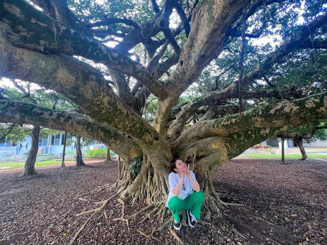 富久美玲のインスタグラム：「🌳」