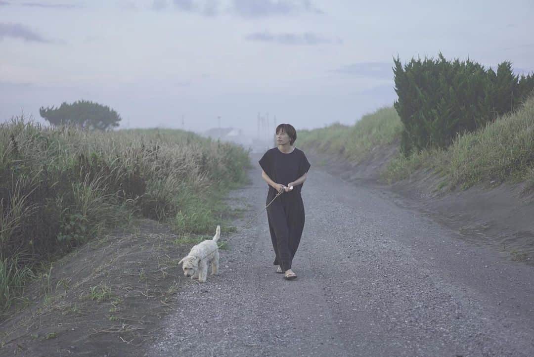 甲斐麻美さんのインスタグラム写真 - (甲斐麻美Instagram)「🌄🌄🌄  夕焼けを 真剣に見るの図  美しい世界は いつも近くにいる  #20230807 #kaicoの好日 #いぬとわたし #犬とわたし #夕焼け散歩」8月7日 19時22分 - kaico_asami