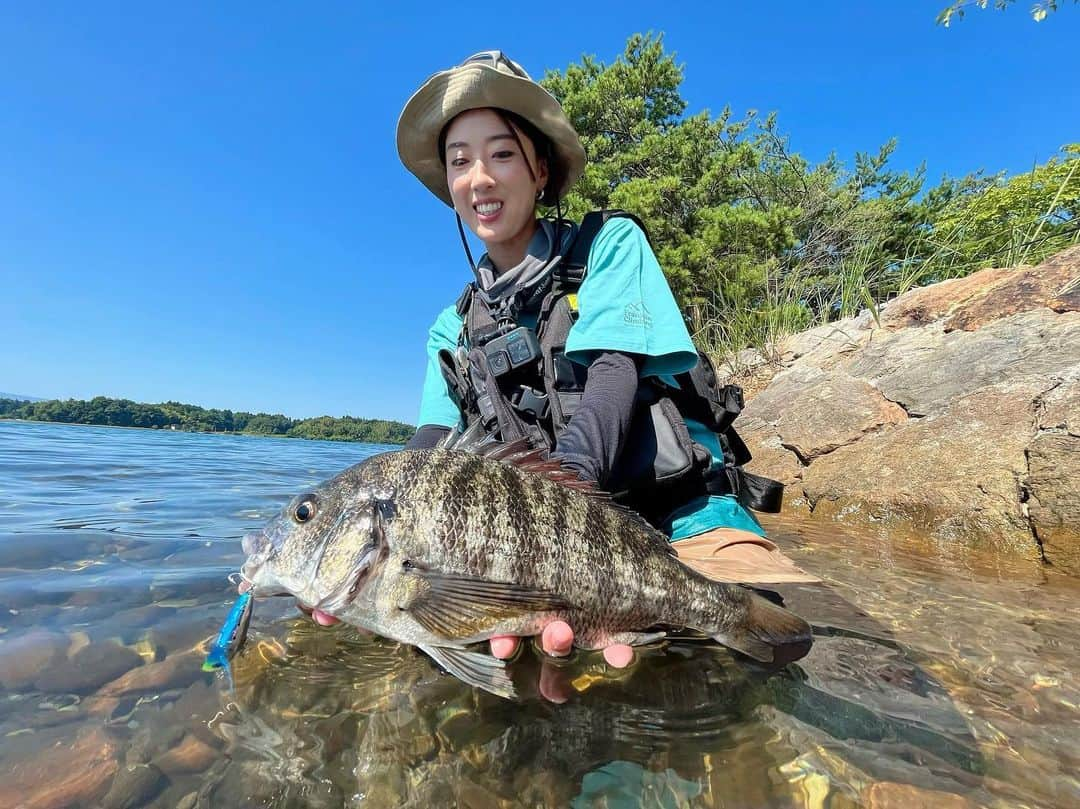 岡田万里奈のインスタグラム：「. . . . 初めてのチヌトップ！！！！ . 佐渡島はチヌの聖地と言われるそうで、 加茂湖という気水域の湖には チヌがウジャウジャ。 . 水が綺麗なので、 ウェーディングしながらでも 足元にチヌが見えて、大興奮の釣りでした！ . この模様は、釣りビジョンオリジナル 『おかまりの釣りドライブひとり旅』と YouTube『おかまりチャンネル』にて！ . . . #佐渡島 #佐渡ヶ島 #佐渡島旅行  #チヌトップ #チニング #チニングトップ  #クロダイ #黒鯛 #釣り女子 #釣りスタグラム  #fishing #fishinglife #fishingtrip  #fishinglifestyle #fishingfun #fisherman  #angler #ladyangler #ladyanglers」