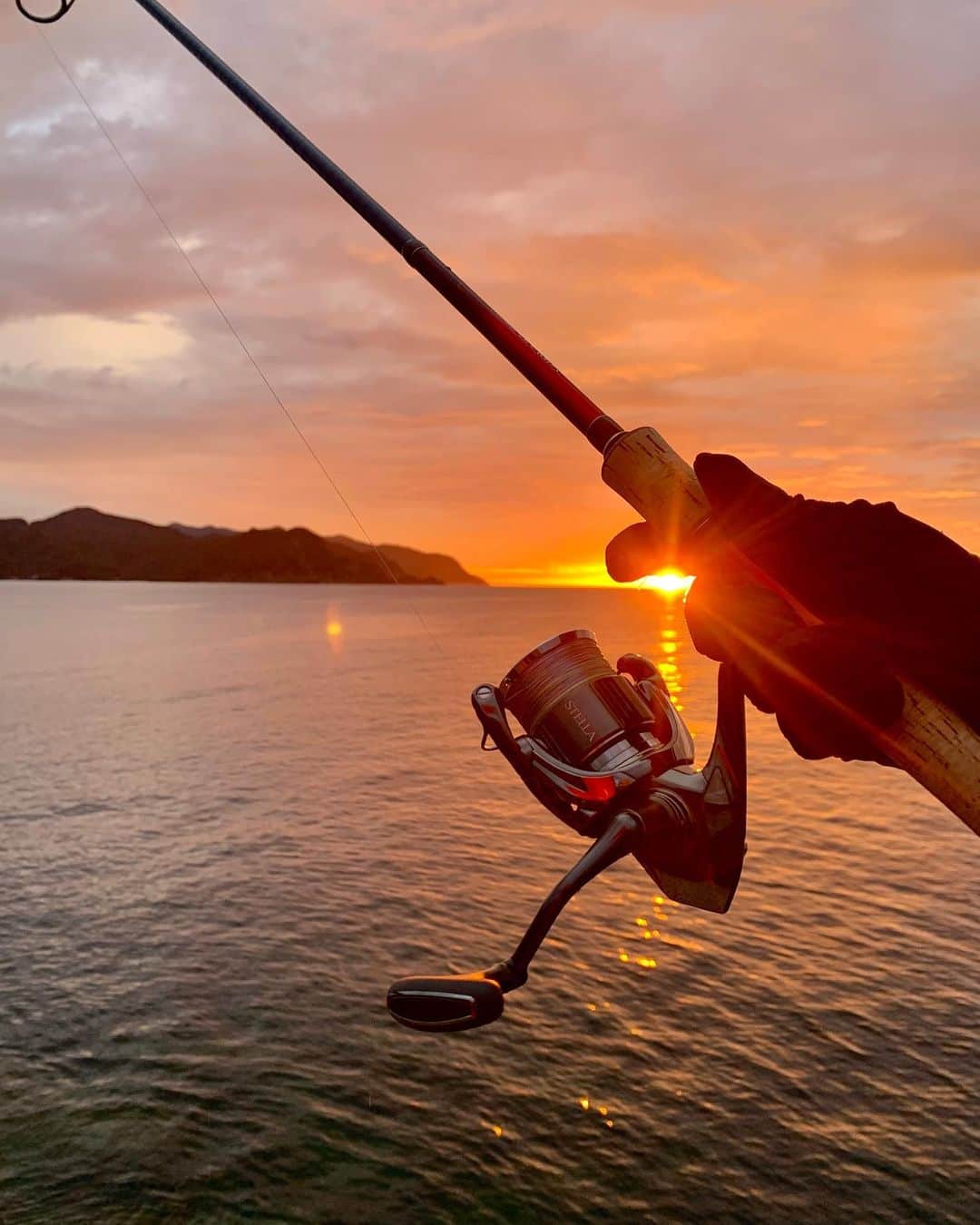 Ｋのフィッシングちゃんねるのインスタグラム：「夏の海はめっちゃ釣れて最高！！  #海釣り #釣り #fishing #22stella」