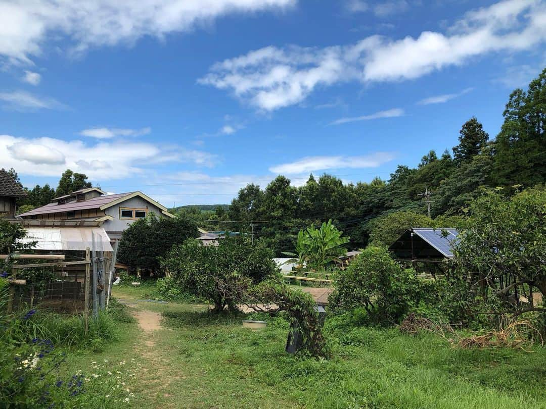 日登美さんのインスタグラム写真 - (日登美Instagram)「Paradise in Japan. @noranohakobune8080  @kunisaki.steiner   私の6人の子供たちは紆余曲折 ありながらもシュタイナー教育で 育ててきました。 日本のシュタイナー学校、 ブラジルのシュタイナー学校、 そして今5、6番目の子が ドイツのシュタイナー学校に 通っています。  シュタイナー教育と聞くと、 「あー、テレビ見せないんでしょ？」とか「なんか変わった宗教 みたいなやつでしょ」とか 言われるし、そう思っている方も 多いかもしれません。 確かにそういう一面も あるのもしれません。 だけど本当のところは多くの 場合伝わっていないし みんな知りたくもないかも しれません。  私自身、自分の家族のなかで 日登美は変わった子育てしてる。 という風に思われていただろうと 思います。 両親はそんな私をそれでも 私の生き方として認めてくれて いました。 けれどシュタイナー教育 に限らず、食についても、 海外移住についても家族の中で「普通」ではない 選択をし続けてきた私が 一体何をしているのか どうしてそんなことを選ぶのか、 については互いに深く知り合う ことはないまま今に至っていました。  昨日大分の国東にある ノラの方舟 @noranohakobune8080 という 動物と植物が共生する楽園 みたいな場所で シュタイナー教室 @kunisaki.steiner の夏祭り があり、ご縁あって参加させて いただきました。 すると、 わかりにくい場所だからと 父が運転を申し出てくれたので 思いがけず私達家族と一緒に 父もこのお祭りに参加する ことになったのでした。  そういえば父が私の子育ての 集まりに顔をだすなんて ことは今まで一度もなく 自然育児も、シュタイナー学校 も、海外子育ての実態も 父は知りません。 その上団塊の世代、 猛烈サラリーマン時代を つい最近までやっていた様な 父にこの雰囲気はどんな風に 受け入れられるの だろうかと、ふと一抹の 不安を抱きました。  それでも現場に着くと お祭りの準備から、 流しそうめんが始まり、 いつの間にか何十名もの小さな 大きな子供と大人が集い 子供は楽園を駆け回り 初対面のお姉さんらは 当たり前のように小さな 子供を優しく面倒みている いつもの光景が繰り広げ られていて、しっかりその中に 父も紛れ込んでいました。  青空の下で息子と夫は 飛び入りでカノンの演奏に 加わりました。 火を囲み、音楽が流れ、 手を繋ぎ、踊って、祭りが 始まりました。 一言でいえば、 生きていることを感じられる。 そういうお祭りでした。  帰り道父はこんなことを 言いました。 「ここの子供達はみんな分け隔てなく大きな子供も小さな子供も 繋がってるね。それはきっと親御さんもそうなんだろう。みんなでみんなの子供を大事にしてるのがよく伝わってきた。 子供を真ん中にして分け隔てなく繋がってる。こういう場所がシュタイナー学校だったんだな」  夏の暑い一日を、 見知らぬ親子と 見知らぬ集まりの中で 70歳を越した父が過ごして 感じたもの。 自分の生きてきた世界とは おそらく全く違う中で 感じとってくれたもの。  当たり前のようで当たり前に ない、その光景。 それを大事にしてきたのが 私の子育てで、 もしかしたら、あのわけわからん と言われるシュタイナー教育 なのかもしれない。 そう感じたようでした。  言葉では伝わらないもの 言葉が邪魔をするものが あります。 違う価値観や生き方をして、 選ぶものも信じるものも違う 人同士が生きる中で それを分かろう、とすることは 簡単ではありません  ヒトゴトであれば簡単に 無視できるから なるべく見ないように 考えない様にして みんながやるように 当たり前を社会の流れに任せる こともできます  だけどいろんなことを 自分ゴトにできるチャンスは 違う、からこそあるのだと 思います。 どうしてだろう？と疑問を 持つことから理解が始まる のだと思います。 そこに関心が生まれます。 関わること、は 触れ合うこと、でもあります。  触れ合うことは 一つになること。 それは逆にいえば、 違いに出逢い、認める力です。 なぜなら最初からみんなが 同じなら、私達は一つに なった、という体験はできない からです。 違うから、二つあるからこそ 一つになろうとする。 一体感を味わえる。 人生はパラドックスです。 簡単ではないかもしれません。  けれど、その違いに関心を抱き 知ろうとするのが人間で、 その真ん中にあるのは 私は愛ではないかと思うのです。  この夏の一日がそれを 教えてくれた気がします。」8月7日 10時46分 - hitomihigashi_b