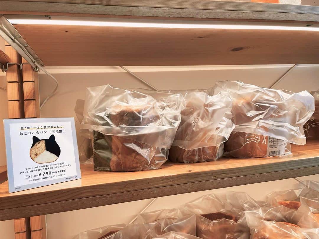 桃華ゆりあさんのインスタグラム写真 - (桃華ゆりあInstagram)「通りかかりに気になって入店🐈‍⬛🎀 可愛すぎて三毛猫食パン購入🍞🐈‍⬛   #ねこねこ食パン  #動物パン   #ねこパン   #パン   #Plain bread  #cat   #japanesefood」8月7日 13時18分 - choooova
