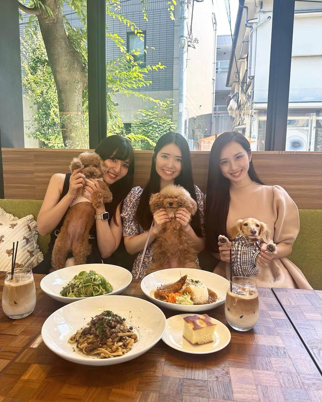 のインスタグラム：「evergreen cafe restaurant EBISUにてランチ🍽️😍💕 @evergreen_cafe_ebisu ㅤㅤㅤㅤㅤㅤㅤㅤㅤ わんこ連れでゆったりランチできる 居心地の良い場所だよ💡 💡  ㅤㅤㅤㅤㅤㅤㅤㅤㅤ パスタやパフェなどメニューも豊富で 美味しく頂きましたぁ🥰❤️ ㅤㅤㅤㅤㅤㅤㅤㅤㅤ 🩵 evergreen cafe restaurant EBISU🩵 050-5600-8403 東京都渋谷区恵比寿南1-26-1 1F https://tabelog.com/tokyo/A1303/A130302/13285977/ ㅤㅤㅤㅤㅤㅤㅤㅤㅤ ㅤㅤㅤㅤㅤㅤㅤㅤㅤ ㅤㅤㅤㅤㅤㅤㅤㅤㅤ ㅤㅤㅤㅤㅤㅤㅤㅤㅤ ㅤㅤㅤㅤㅤㅤㅤㅤㅤ ㅤㅤㅤㅤㅤㅤㅤㅤㅤ ㅤㅤㅤㅤㅤㅤㅤㅤㅤ ㅤㅤㅤㅤㅤㅤㅤㅤㅤㅤㅤㅤㅤㅤㅤㅤㅤ  ㅤㅤㅤㅤㅤㅤㅤㅤㅤ  #愛犬 #愛犬とお出かけ #愛犬とご飯 #ペット同飯可 #ペット可 #ペット可レストラン  #ペット可カフェ #ペット可レストラン  #ペット同伴 #ドックカフェ #dogcafe #恵比寿グルメ #恵比寿ランチ #恵比寿ディナー #恵比寿カフェ #東京カフェ #カフェ巡り #카페 #카페스타그램 #まるこ🐶💓」