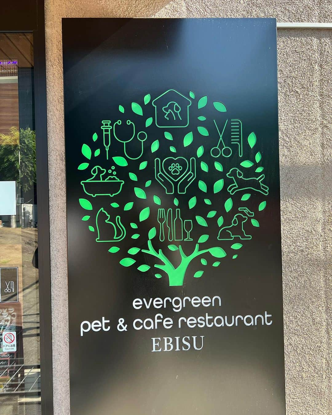 五位渕のぞみさんのインスタグラム写真 - (五位渕のぞみInstagram)「evergreen cafe restaurant EBISUにてランチ🍽️😍💕 @evergreen_cafe_ebisu ㅤㅤㅤㅤㅤㅤㅤㅤㅤ わんこ連れでゆったりランチできる 居心地の良い場所だよ💡 💡  ㅤㅤㅤㅤㅤㅤㅤㅤㅤ パスタやパフェなどメニューも豊富で 美味しく頂きましたぁ🥰❤️ ㅤㅤㅤㅤㅤㅤㅤㅤㅤ 🩵 evergreen cafe restaurant EBISU🩵 050-5600-8403 東京都渋谷区恵比寿南1-26-1 1F https://tabelog.com/tokyo/A1303/A130302/13285977/ ㅤㅤㅤㅤㅤㅤㅤㅤㅤ ㅤㅤㅤㅤㅤㅤㅤㅤㅤ ㅤㅤㅤㅤㅤㅤㅤㅤㅤ ㅤㅤㅤㅤㅤㅤㅤㅤㅤ ㅤㅤㅤㅤㅤㅤㅤㅤㅤ ㅤㅤㅤㅤㅤㅤㅤㅤㅤ ㅤㅤㅤㅤㅤㅤㅤㅤㅤ ㅤㅤㅤㅤㅤㅤㅤㅤㅤㅤㅤㅤㅤㅤㅤㅤㅤ  ㅤㅤㅤㅤㅤㅤㅤㅤㅤ  #愛犬 #愛犬とお出かけ #愛犬とご飯 #ペット同飯可 #ペット可 #ペット可レストラン  #ペット可カフェ #ペット可レストラン  #ペット同伴 #ドックカフェ #dogcafe #恵比寿グルメ #恵比寿ランチ #恵比寿ディナー #恵比寿カフェ #東京カフェ #カフェ巡り #카페 #카페스타그램 #まるこ🐶💓」8月7日 13時31分 - nonnon0319