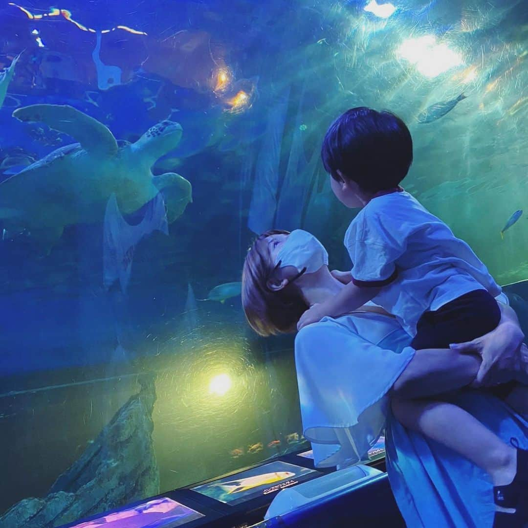 矢口真里のインスタグラム：「家族でしながわ水族館に行ってきました🐬✨ ばーばと甥っ子も一緒に😊✨  アシカショーやイルカショーも見れて 大満足でしたよー😁✨ 長男は熱帯魚の水槽が好きらしく ずっと見ていました🥹✨ 次男は今イヤイヤ期で、 おとうちゃんが抱っこで頑張ってくれました🥹✨ ありがとう🥹✨  水族館は涼しくて最高でやんす♡ また行こうね😊✨」