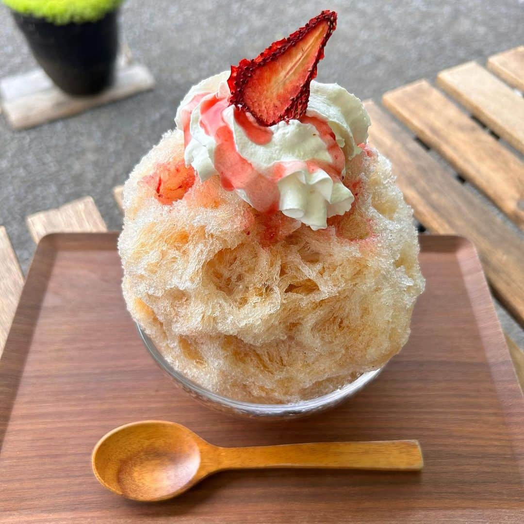 長江里加のインスタグラム：「🍧 初めての“茶氷” 紅茶と抹茶を2人で食べました🥰 外で食べるかき氷は格別✨✨」