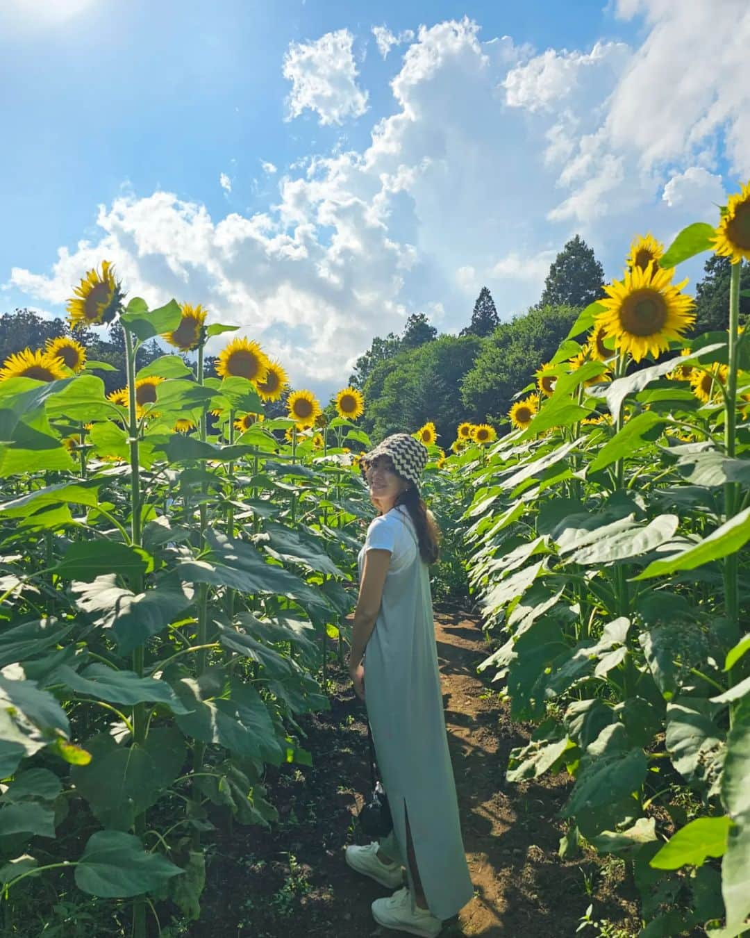 杉山由紀子のインスタグラム：「📍那須塩原 ハンナガーデン🌼  ひまわり満開まであとちょっと🌻🌻🌻 お盆時はおすすめの口コミ通りでした✨ この日は8/6の撮影です✨  身長をこえるひまわりの数々にテンションあがった😆  那須塩原駅まで新幹線で、 西口にある那須ハイランドパーク行きのバスで青木別荘前まで🚍️  帰りのバスはめちゃ早く終わってしまうので注意です!!!! (土日は16時代に終わります😲)  今回の旅はいろいろ学びのある旅に🙏 この時のうちらはそんな事を知らずにただ楽しんでます笑  お盆おでかけの方は昨日の時点で東京駅の新幹線チケット待ちヤバかったのでお気をつけを🙏🙏🙏  #那須塩原 #お盆 #夏休み #夏やすみ #summer #那須ハイランドパーク #ひまわり畑 #ハンナガーデン #旧青木家別邸 #nsyard #旅行 #旅 #trip #travel #vacation #japan #japantravel #japantrip」