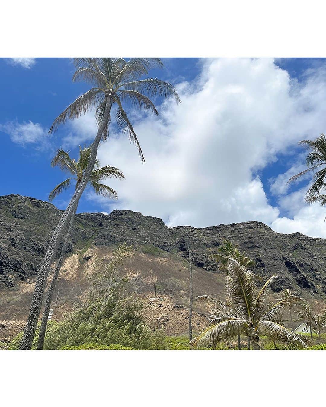 広瀬香美さんのインスタグラム写真 - (広瀬香美Instagram)「Kohmi trip in Hawaii の記録。  ハワイでも引きこもりの私ですが、珍しく海へ。ビーチでのんびり、幸せな時間です。  #northshore #hawaii #kohmitrip #kohmihirose #ハワイ #広瀬香美」8月7日 14時32分 - kohmi.hirose
