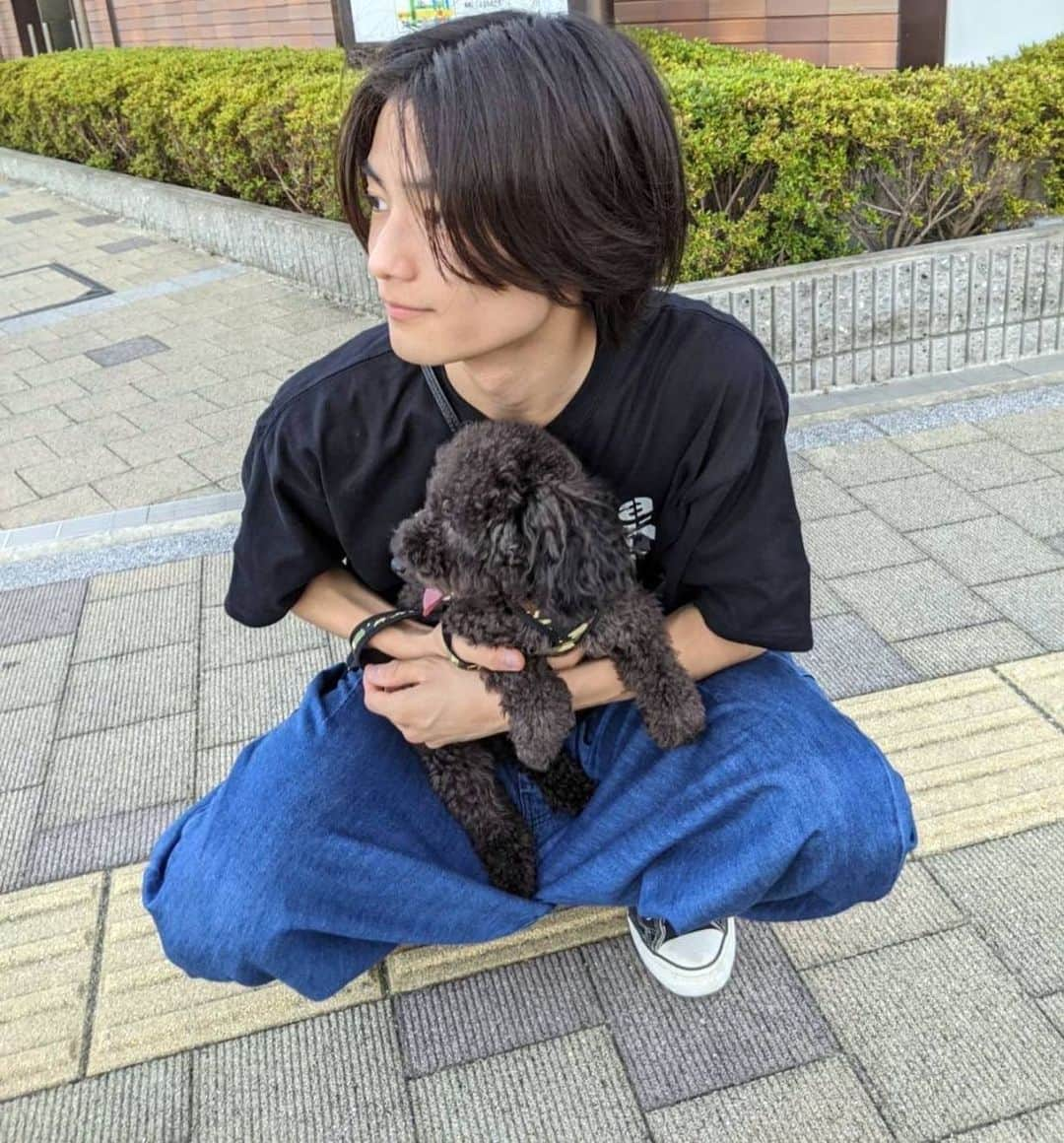 城桧吏のインスタグラム：「先日楽しいお散歩をしました おばあちゃんの家で飼ってるむぎとうい名前のわんちゃんです！ とっても癒されました🥰  #わんこ #dog  #散歩  #城桧吏  #kairi #jo」