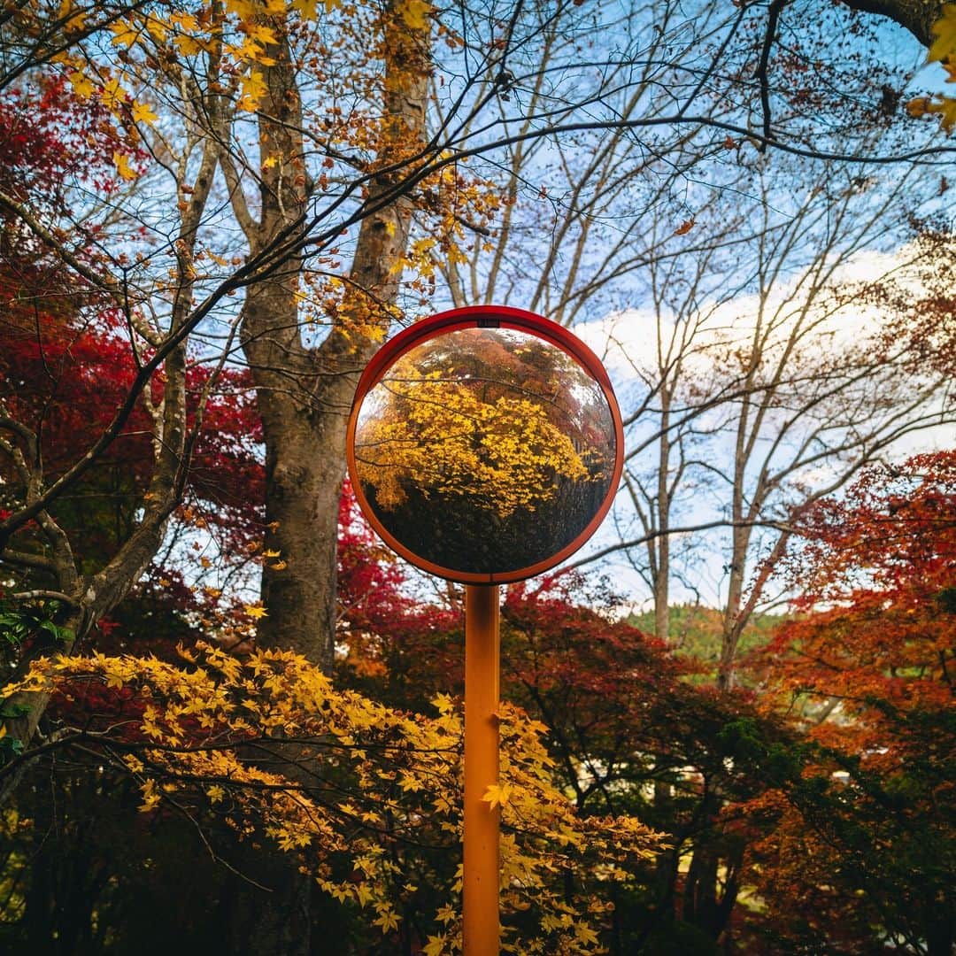 のインスタグラム：「When you're that focused on capturing what's in front of you, it's easy to forget what lies behind. Luckily, @bayashi_16 has his way of covering that! To be surrounded by that much nature (in autumn, no less) – we've never been more envious!⁣ -⁣ 📷 Image by @bayashi_16 on Canon EOS 6D Mark II | EF24-70mm f/2.8L II USM | 24mm | f/2.8 | ISO 100 | 1/250s⁣ -⁣ #TeamCanon ##CanonPhotography #CanonPhoto #CanonImages #CanonLens #CanonColourScience #PhotoOfTheDay #IAmCanon #ThePhotoHour #LandscapePhotography #TravelPhotography」