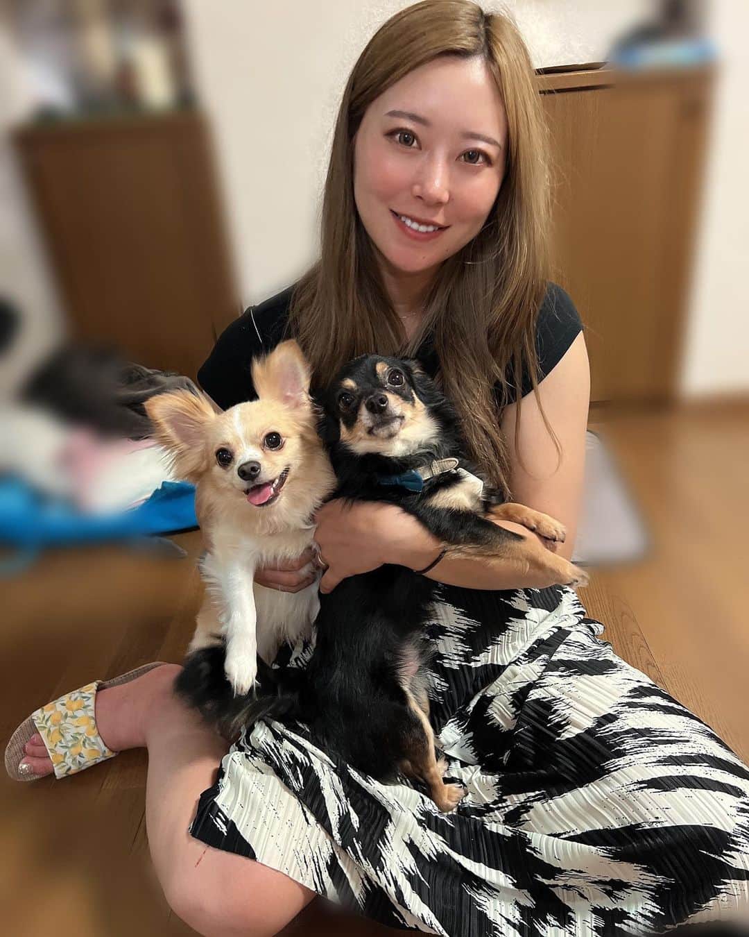 のインスタグラム：「.  愛犬達🐶🐶🤎🤍」