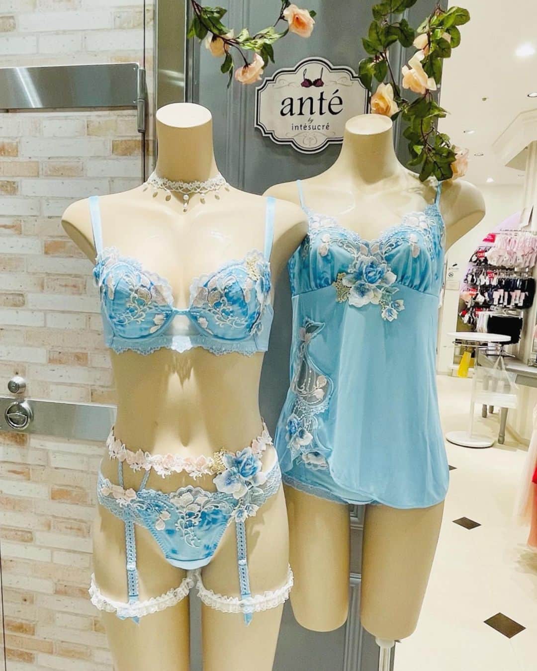 アンテシュクレのグルメインスタ