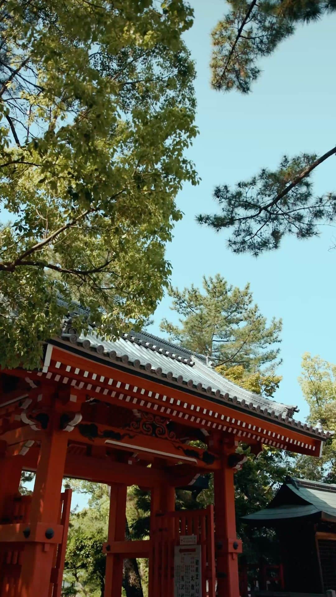 住吉大社 | sumiyoshitaishaのインスタグラム：「🇯🇵⛩️ #住吉大社 #五大力 #石守 #sumiyoshitaisha #osaka #japan #nationaltreasure #osakasightseeing #sightseeing #japantrip #osakatrip #shrine #住吉大社 #神社 #国宝 #燈籠 #日本 #大阪 #大阪観光 #travel #beautiful#japaneseculture #koi #coloredcarp #carp #錦鯉 #反橋 #橋 #御朱印 #刺繍 #embroidery  代表日本的神社，擁有國寶本殿  A shrine that represents Japan and has a main shrine that is a national treasure」