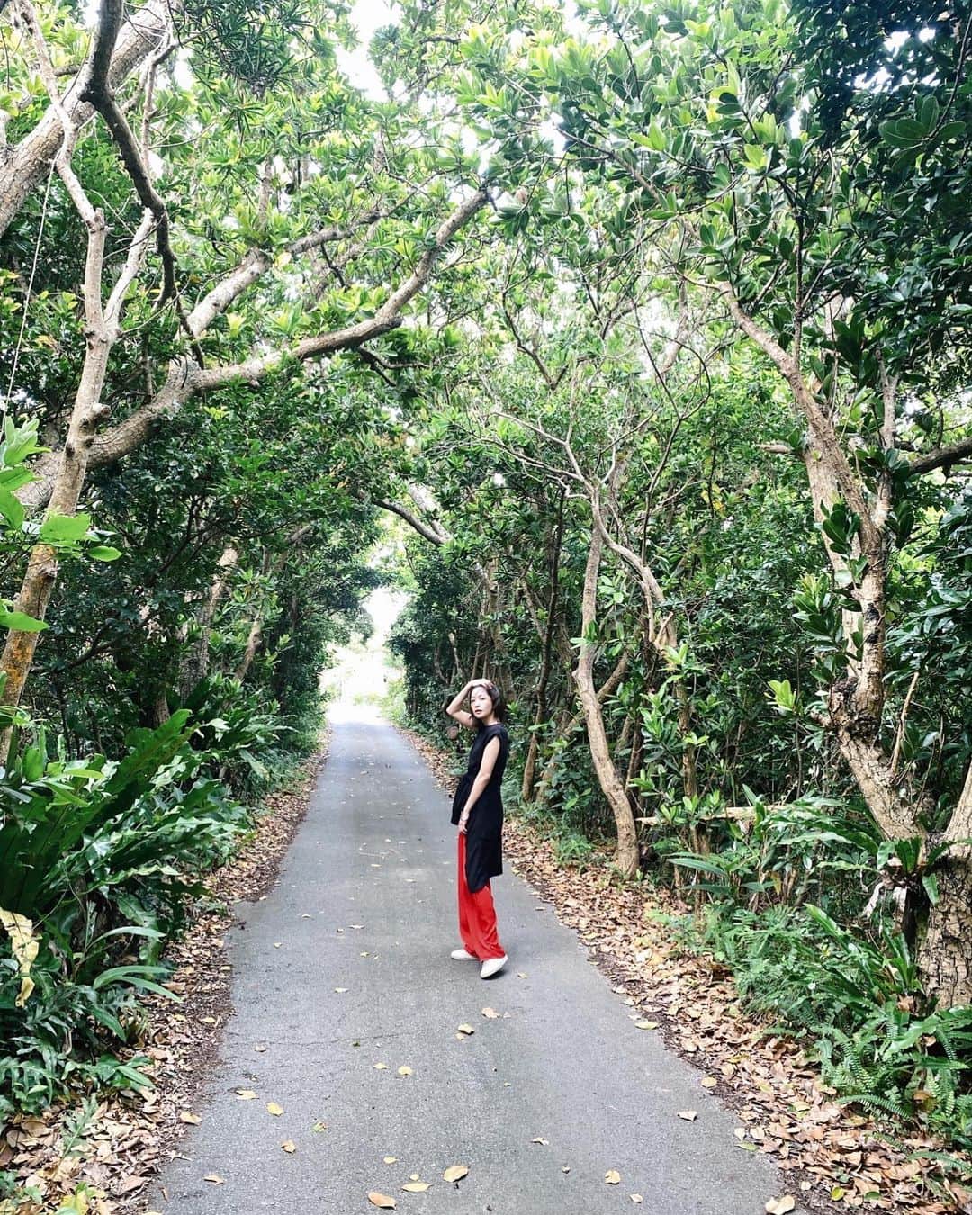加藤理恵のインスタグラム：「緑の力が凄かった。たくましかった。  #宮古島」