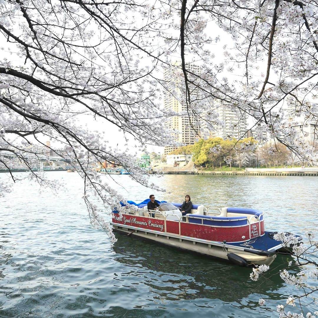 旅色さんのインスタグラム写真 - (旅色Instagram)「＼旅色が選ぶレジャー『大阪クルーズ GLORIA』／ 【大阪府｜大阪市内】水都大阪の風景を贅沢なクルーズ船で堪能できる大阪クルーズGLORIA🚢🎶  最大70名までのパーティーに対応可能な「M7」は、電気を動力源とするため、静かで振動も少なく船内に匂いが発生しないのが特徴です✨船内は音響設備も充実。  音楽や映像など、お好みに合わせカスタマイズ・生演奏等のステージにも対応しています。次世代EV船だからこそ実現できる、安全かつ快適なクルーズが楽しめます。 他にも4種類の船があり、なかでも寿司職人が目の前で寿司を握る“ハウスボート”が人気🍣  自宅のリビングにいるような感覚で料理やお酒を楽しめますよ。テレビや音響設備などを備えたプライベート空間で、家族や仲間とともにゆっくりと寛げること間違いなし。  今夏運航開始、ミナミの中心エリアをクルーズ、アールデ・ルーク号もオススメです🚢✨  —-✄———-✄———-✄—ー  【大阪クルーズ GLORIA】 @osakacruise_gloria 📍大阪府大阪市中央区天満橋京町1-1（八軒家浜船着場） ［車］阪神高速1号環状線北浜出口より約5分 ［電車］Osaka Metro谷町線天満橋駅17番出口より徒歩約5分 TEL：06-6623-9110 ［💡旅色を見たとお伝えください］  旅色：https://tabiiro.jp/leisure/s/210072-osaka-gloria/ 公式：https://osakacruise.com/  —-✄———-✄———-✄—-  #大阪クルーズGLORIA #大阪クルーズ船 #旅色 #旅スタグラム #贅沢旅行 #大人の休日 #大人の旅 #思い出旅行 #ご褒美旅行 #ご褒美時間  #旅行 #旅 #tabiiro #国内旅行 #大阪グルメ #大阪ディナー #大阪ランチ #レストラン #大阪 #屋形船 #クルージング #レストラン船 #ゴンドラバル #道頓堀 #夜景 #寿司船 #パーティーボート #ゴンドラバル #道頓堀 #船上パーティー」8月7日 18時00分 - tabiiro