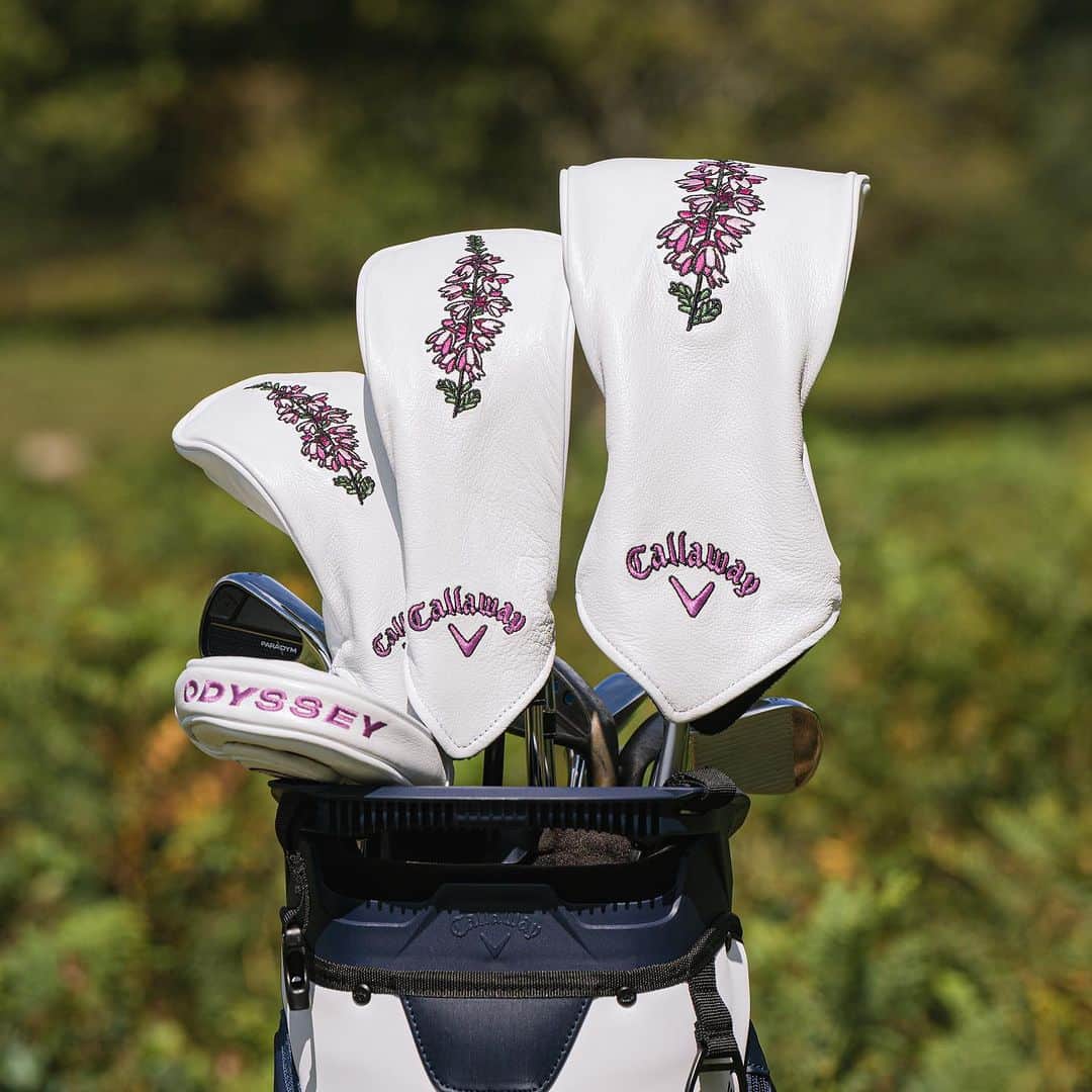 ジョン・ラームのインスタグラム：「🪻Last major of the year giveaway 🪻 See below how you can win a driver, 3 wood, hybrid and putter headcover that #TeamCallaway will be using this week @aigwomensopen:  -Make sure you’re following @callawaygolf & @odysseygolf -Comment below what putter headcover you want (blade or mallet) -Tag a friend  Giveaway ends 8/11. Must be following to be eligible. 2 lucky winners will be chosen.」