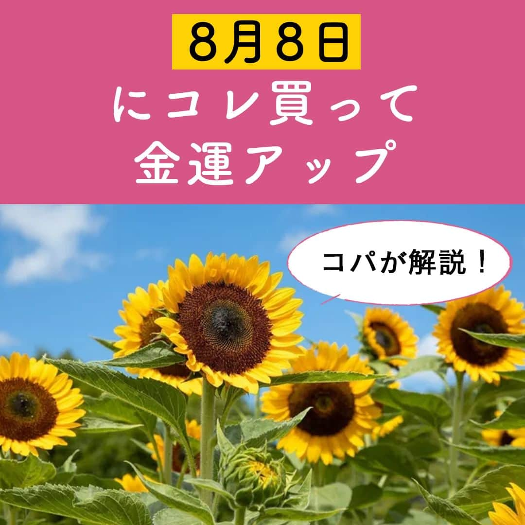 サンキュ！編集部のインスタグラム：「～ コパが解説！ 8月8日にコレ買って金運アップ ～  ＠39_editors  夏真っ盛り。コロナのせいで、ここ2年間ほど自粛の夏だったので、今年こそはパーッと楽しみたいですよね。 それにはまずは、運気を上げるのがマスト。運気を上げて夏を満喫しましょう。 風水の第一人者Dr.コパに、「8月に金運を上げる風水」について教えてもらいました。  ーーーーーーーーーーーーーーーーーーーーー サンキュ！では素敵な暮らしを営むおうちや工夫をご紹介していきます。 ぜひフォローしてください。  @39_editors ーーーーーーーーーーーーーーーーーーーーー  〈教えてくれた人〉 Dr.コパさん "西に黄色で金運アップ”を日本中に広めた、ご存じ風水の伝道者。  #開運 #運気 #運気アップ #開運グッズ #開運行動 #幸運 #金運 #お金が貯まる #金運アップ #お金 #恋愛運 #対人運 #健康運 #8月 #夏 #財布 #立秋 #不動産運 #住宅展示場 #スイカ #ラッキカラー #ラッキーフード」