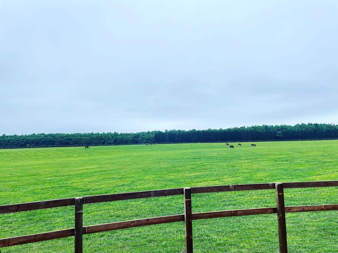 楽山孝志さんのインスタグラム写真 - (楽山孝志Instagram)「最終日はこちらへ... 前回訪問時はディープインパクトを拝見できましたが.... #ノーザンホースパーク  #競馬  #horse  #horseriding  #乗馬体験」8月7日 20時02分 - takashi.rakuyama