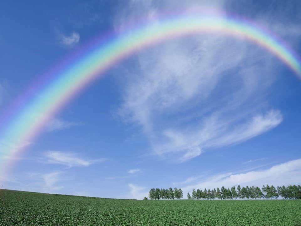 野杁正明のインスタグラム：「. Please watch over me forever 🌈🌈🌈」
