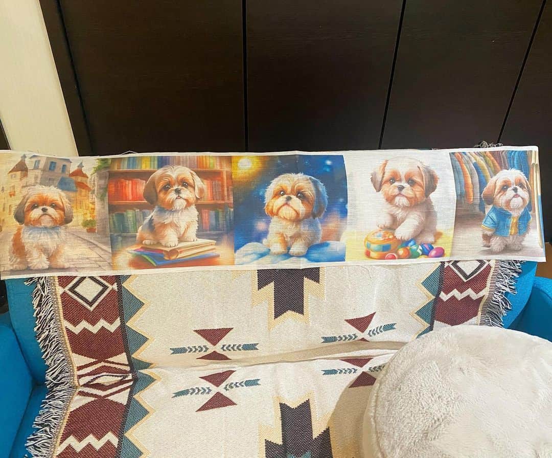 ?????HANA?????のインスタグラム：「🐶❤️ このシーズーの生地？布？めっちゃ可愛いザマス😍❤️ 後でちゃんと飾ろうザマス😎」