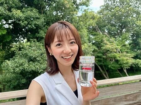 フジテレビアナウンサーのインスタグラム：「ペットボトルを使ってバジルを水耕栽培🌿  ご家庭で不要になったペットボトルで、 とても手軽に育てられるんです☺️ 収穫まで3週間ほどのハーブも✨  ハーブティーや料理などにぱぱっと活用できます🫖 そしてその成長を見守る過程も日々の癒しに繋がりそうです😊✨  #サステナWAVE #楽しくアクションSDGs #ペットボトル #ハーブ #水耕栽培 #フジテレビアナウンサー #内田嶺衣奈」