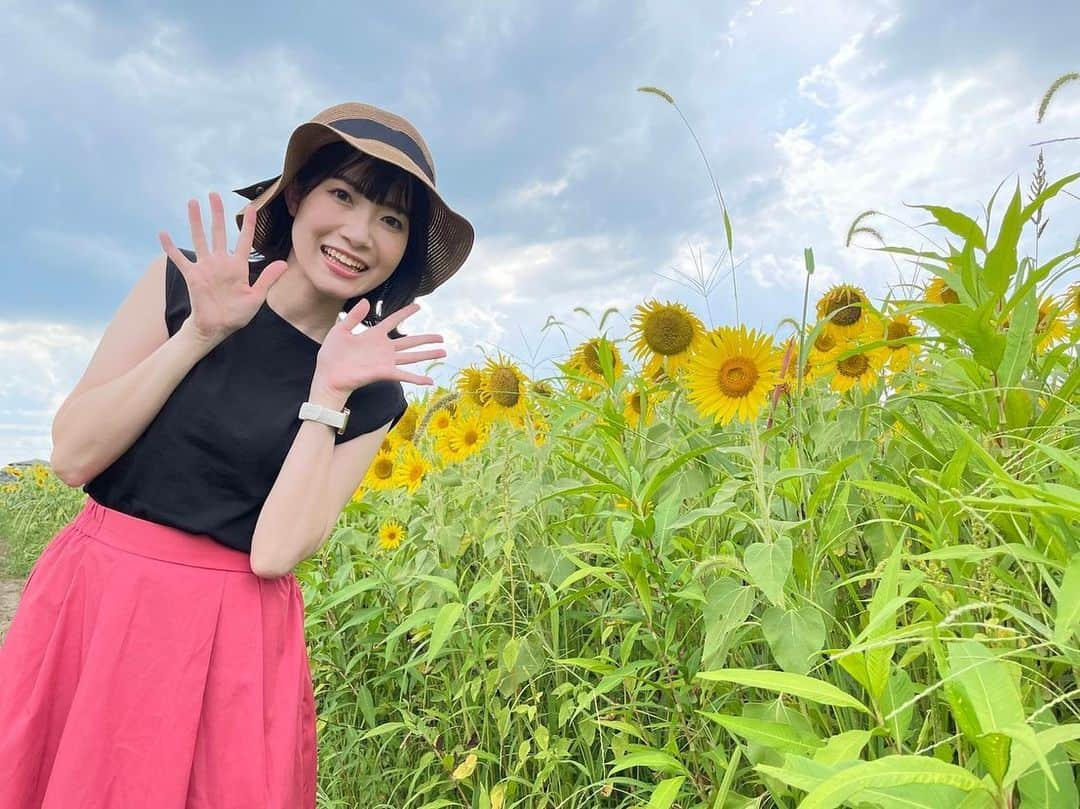 菅原智郁のインスタグラム：「天童市のひまわり迷路🌻 最近 猛暑続きでひまわりは少し元気がなかったけれど、咲きそろっているエリアはとても綺麗でした✨️ あすは立秋！ 暦の上では秋って本当～～🥺？？ . . #山形 #天童 #ひまわり #向日葵 #🌻 #ひまわり迷路 #山形テレビ #アナウンサー #菅原智郁」