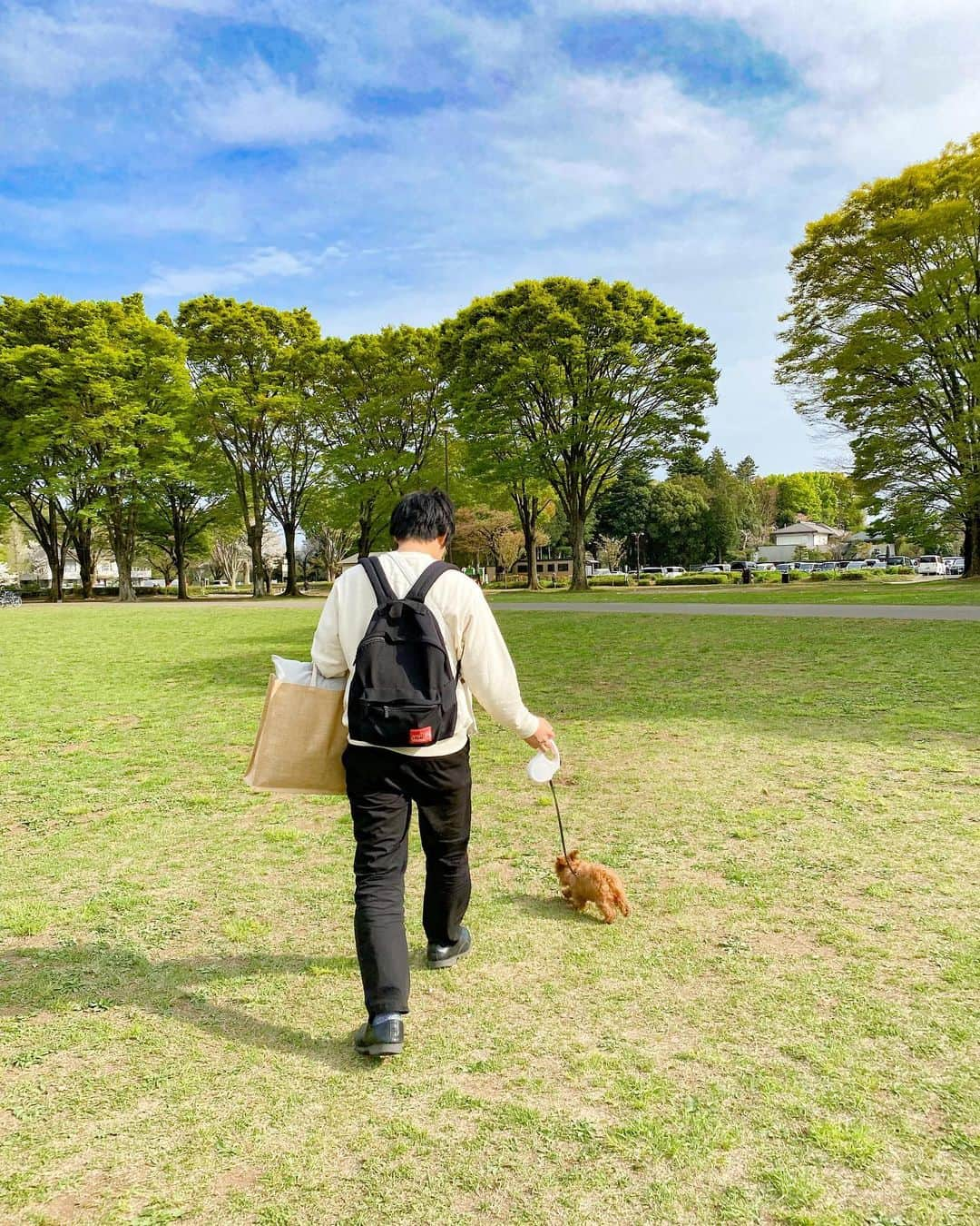 しほこさんのインスタグラム写真 - (しほこInstagram)「❤︎* ⁡ ⁡ お弁当作ってお花見🌸🌸🌸 ⁡ ⁡ むぎ🐶は初めてのドッグランで ほかのわんちゃんより飼い主さんたちに 愛想振りまいてました☺️🤍 ⁡ ⁡ #お花見 #花見 #春 #ピクニック #お弁当 #手作り弁当 #🌸🌸🌸 #ドッグラン #むぎ #トイプードル #タイニープードル #プードル #愛犬 #パピー #といぷーどる #toypoodle #小型犬 #いぬすたぐらむ #いぬバカ部 #犬との生活 #小型犬のいる暮らし #癒し犬 #いぬのきもち #もふもふ部 #20230405」8月7日 21時56分 - shihoko0922