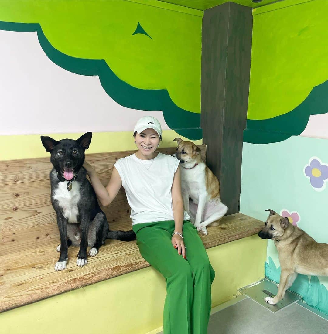 のインスタグラム：「・ 今日も @rescue_dog_cat のシェルターへボランティアに行ってきました！  渋滞にハマってしまい… 着いたらほとんどお掃除が終わっていた😂 ボランティアさんありがとうございました🙏🏻  今日は @kaikiyamanaka がシェルター紹介の動画撮影を二つ返事で引き受けてくれて、沢山撮影してくれました。  お礼にランチをご馳走しようとしたら  「そんなの嫌です。ボランティアなんで久美さんと対等でいたいです。」って言われてめちゃくちゃ嬉しかった。  いつも助けてくれてありがとうね。  ROWのお姉ちゃんも来てくれていて、「保護犬について」を課題として学校に提出してくれるんだって！ 嬉しいよ🙏🏻❤️  他にも子供達のボランティアさんが来ていて、子供たち自らボランティアに参加してくれることが本当に嬉しかった✨  ペットショップで買うんじゃなくて、保護犬、猫を家族に迎えたいと思ったの。と、12歳の女の子が伝えてくれた言葉に胸が熱くなった🥹✨  そんな言葉を聞いたら俄然やる気とパワーがみなぎって、子供達に保護犬、猫の存在をもっと知って欲しいと目標ができました！  小学校で保護犬、猫の存在を話す機会を作りたい！  譲渡会に会いに来てくれる子供達をもっと増やしたい！  保護団体によっては16歳以下の子供がいる家庭には譲渡不可の所もあるけれど、私は個人で活動しているから、その家庭にあった子を見つけるお手伝いがしたい！  やりたいことが明確になって、その為には仕事も頑張らなくちゃ！と元気になれました。  幸せだ！！！  ・ ・ #自分メモ #保護犬 #保護猫」