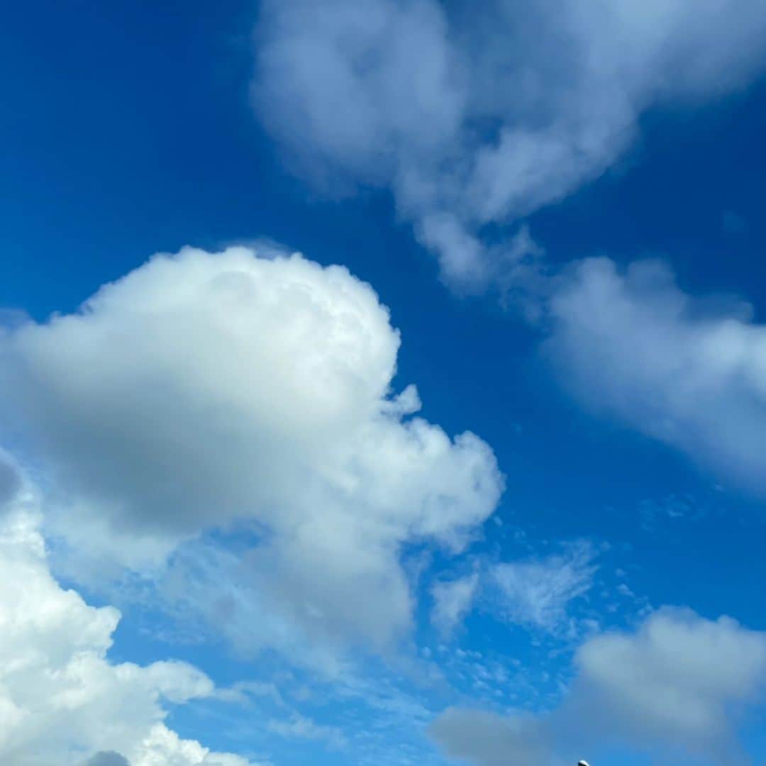 長江愛美のインスタグラム：「☁️☁️☁️ 今朝の雲がうちの子たちに似てて思わずぱしゃり📷🐶🩷🐶  #雲 #愛犬 #ティーカッププードル #ミニー #ハニー」