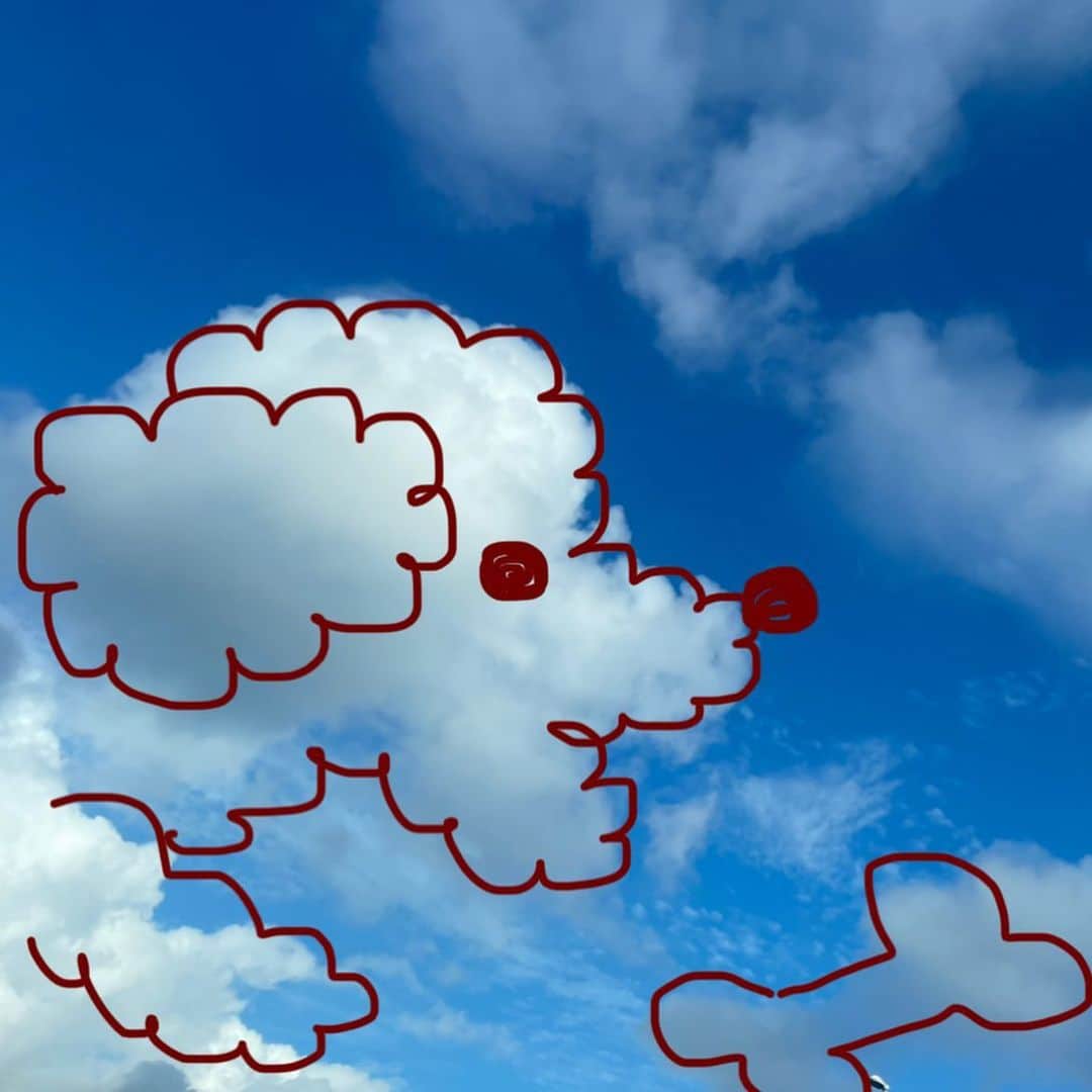 長江愛美さんのインスタグラム写真 - (長江愛美Instagram)「☁️☁️☁️ 今朝の雲がうちの子たちに似てて思わずぱしゃり📷🐶🩷🐶  #雲 #愛犬 #ティーカッププードル #ミニー #ハニー」8月7日 22時09分 - manamin.512