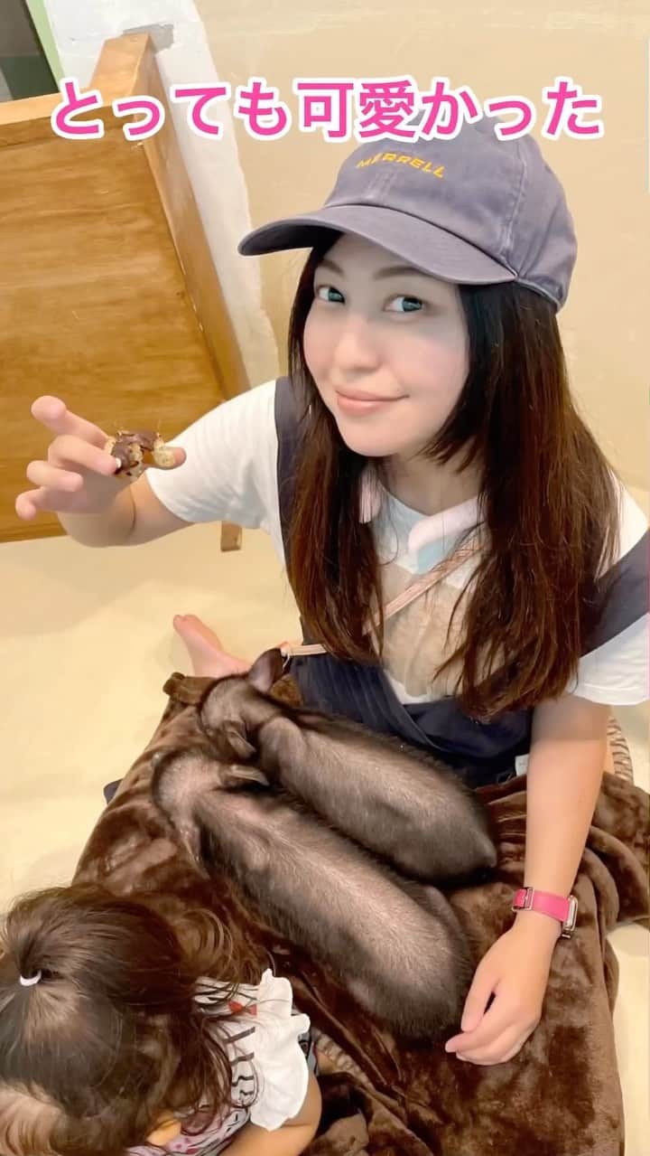 正田美里（みさみさ）のインスタグラム