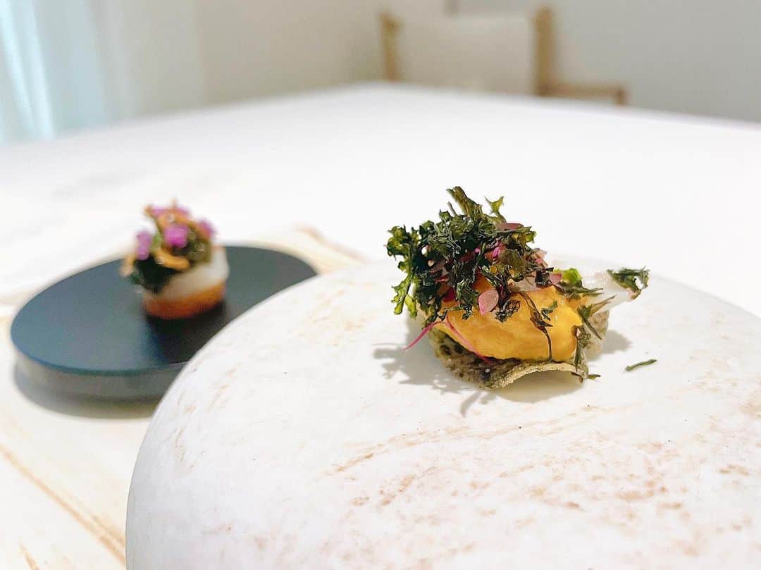 綾瀬麗奈さんのインスタグラム写真 - (綾瀬麗奈Instagram)「. reminiscence さん♡  お料理編🍽️  とっても美味しく美しいお料理たち… 空間の美しさも お皿へのこだわりも 気遣いの細やかさも 背筋がスッと伸びて 豊かな心でお食事を楽しめる場所。  1枚目は思い出のお料理。 初めてフォアグラを美味しいと感じた一皿 フォアグラ苦手だったけど 食べてみて本当によかった🥹🤍  もうあの時間が恋しい… また伺いたいお店です🥰💐  この日は本当に幸せな時間でした🪞✨  .  #レミニセンス　#reminiscence #名古屋フレンチ　#愛知フレンチ　#名古屋グルメ　#愛知グルメ　#車道グルメ　#東区グルメ　#千種グルメ　#名古屋ディナー　#愛知ディナー」8月7日 22時10分 - ayasereina