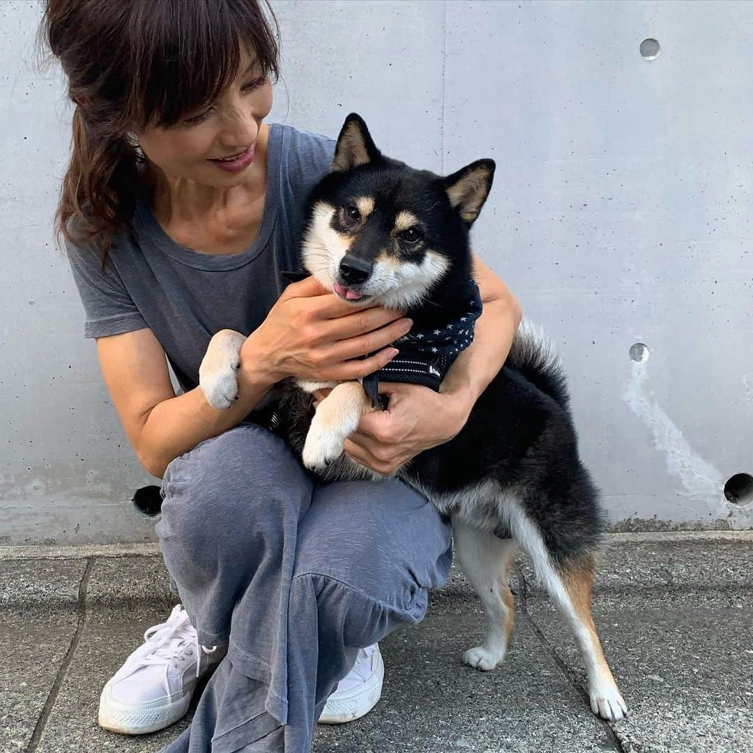 花田美恵子さんのインスタグラム写真 - (花田美恵子Instagram)「夕方のお散歩🐾  お仕事早く終わった日は 彼も一緒に 公園で待ち合わせ😊  家族3人 楽しいね♪  #tokyolifestyle #shibainu  #kawaii #mameshiba #kai  #柴犬 #カイくん #3歳8ヶ月 #換毛期」8月7日 22時28分 - hawaiimieko