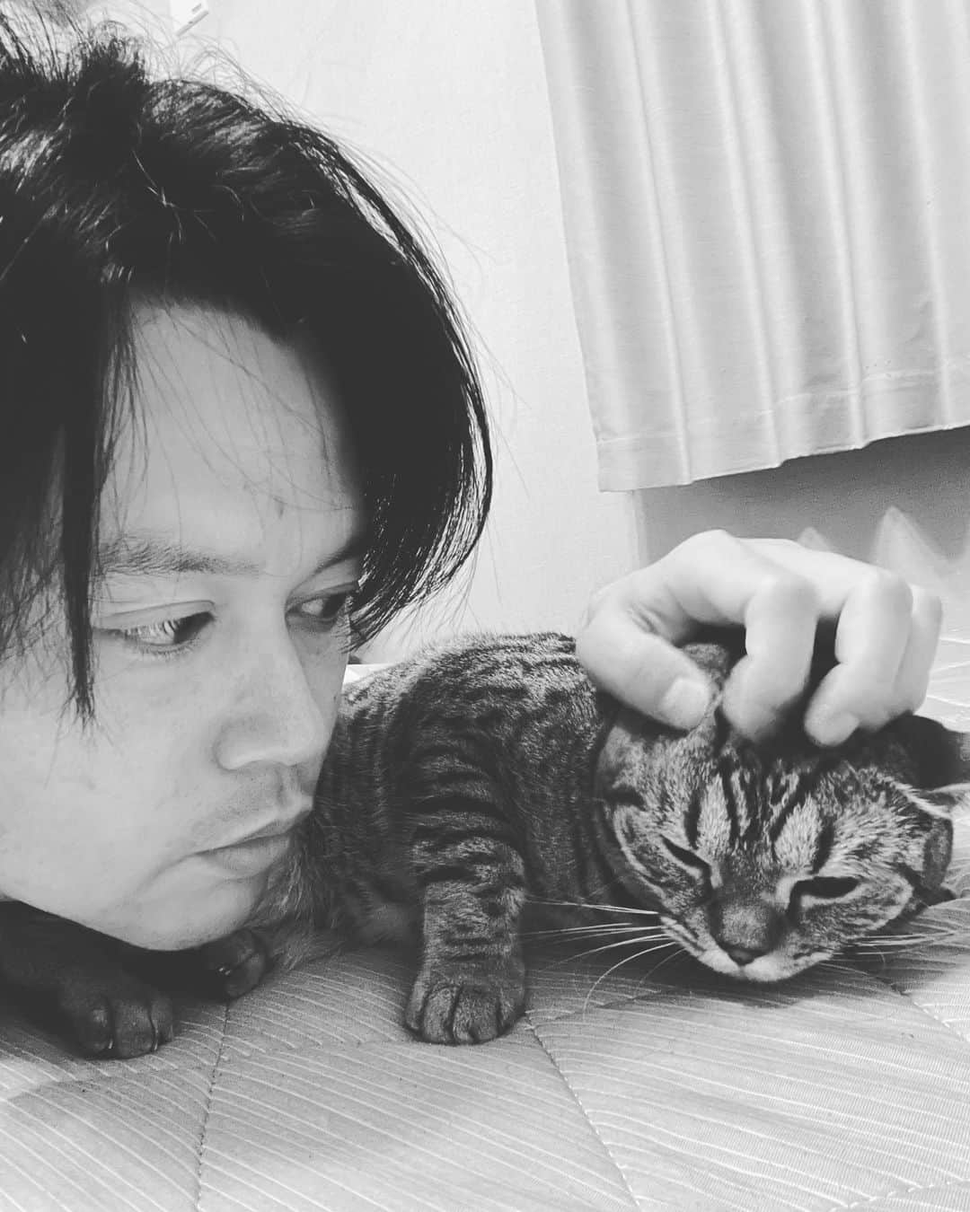 八木隆太郎のインスタグラム：「祝㊗️ピノちゃん2歳  先日、2歳になりました我が家のピノちゃん。 コロナ禍で迎えた新たな家族。 自分しか甘える人いないんで、 一緒にいるときはだいぶ甘やかしてます。 赤ちゃんの時からいるので自分の子供みたいです👶  いつもバタバタしていて、お留守番長くてごめんね。これからもいい子でね👐  あ、うちのワンちゃんネコちゃんの 番組アカウントでも紹介いただきました♩  @uhb_inuneko_club   こちらもよろしくお願いします🙇‍♀️  #猫 #ネコ #ピノ #ピノノワール #誕生日」