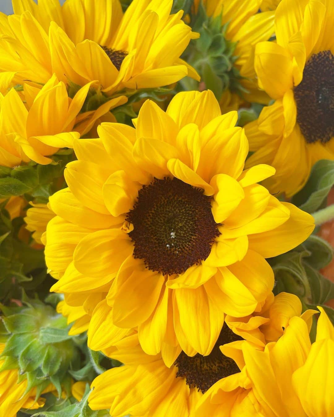 加藤夕夏のインスタグラム：「🌻💚🌼  #向日葵 #花束 #ブーケ #🌻#花の日 #8月7日」