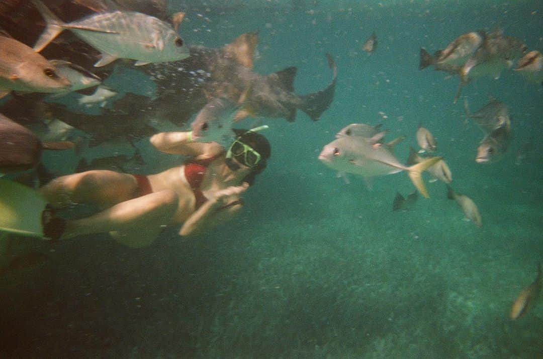 コートニー・イートンのインスタグラム：「Shark bait」