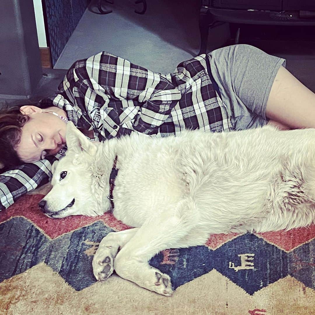 サラ・ウェイン・キャリーズのインスタグラム：「it was a perfect sunday」