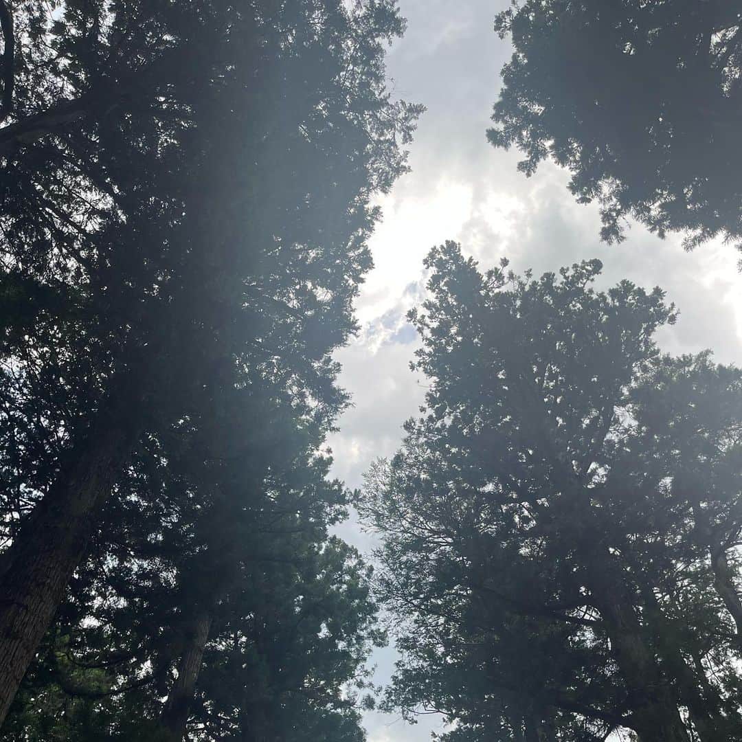 高田夏帆さんのインスタグラム写真 - (高田夏帆Instagram)「夏始まったって何回も言うね🎐」8月8日 0時57分 - takadakaho