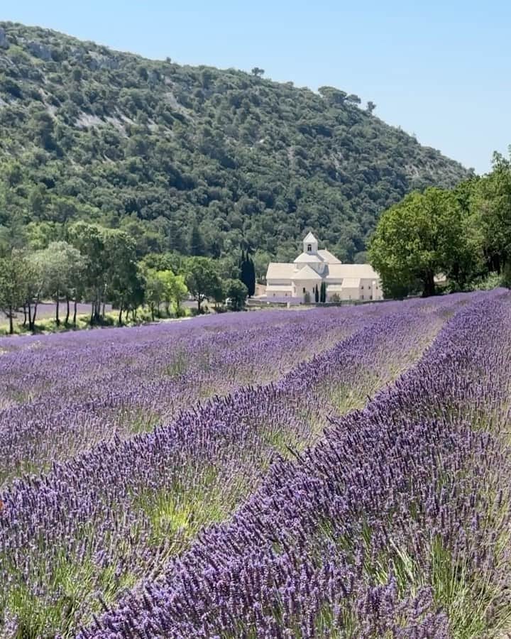 ジャックムスのインスタグラム：「"LES VACANCES DANS LES TERRES" SUMMER POETRY  Feel free to comment and tag places you love around PROVENCE…. And share as well a story of you and the Provence area.」