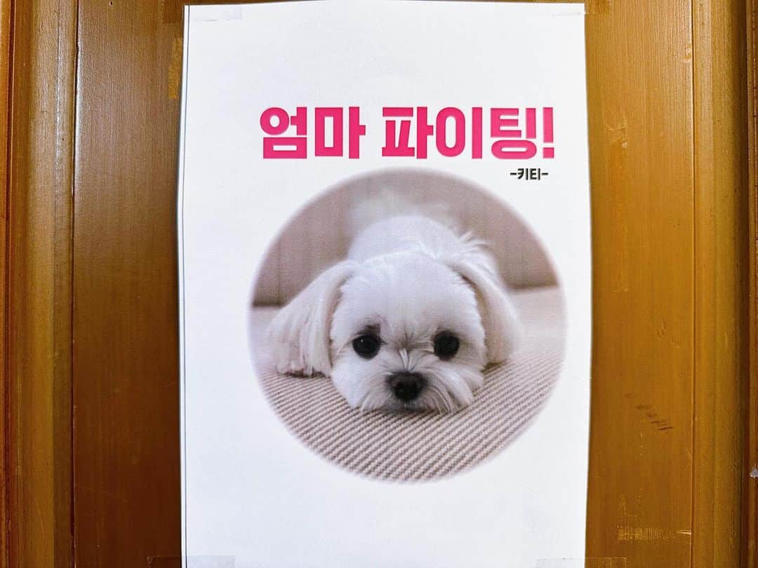 ソン・イェジンのインスタグラム：「🐶🙃」